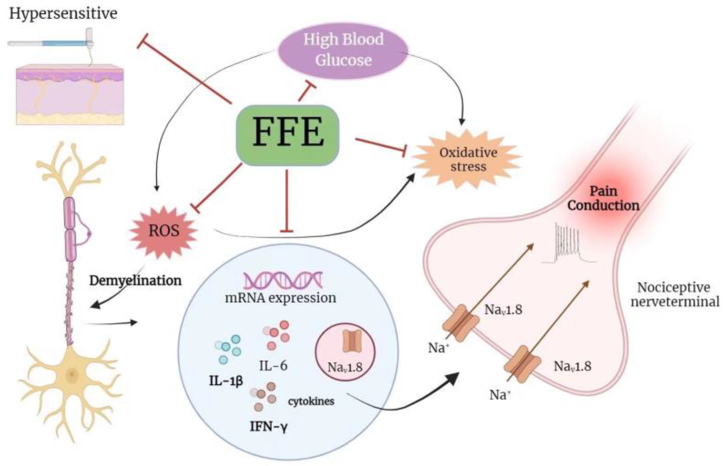 Plants 12 03774 g005