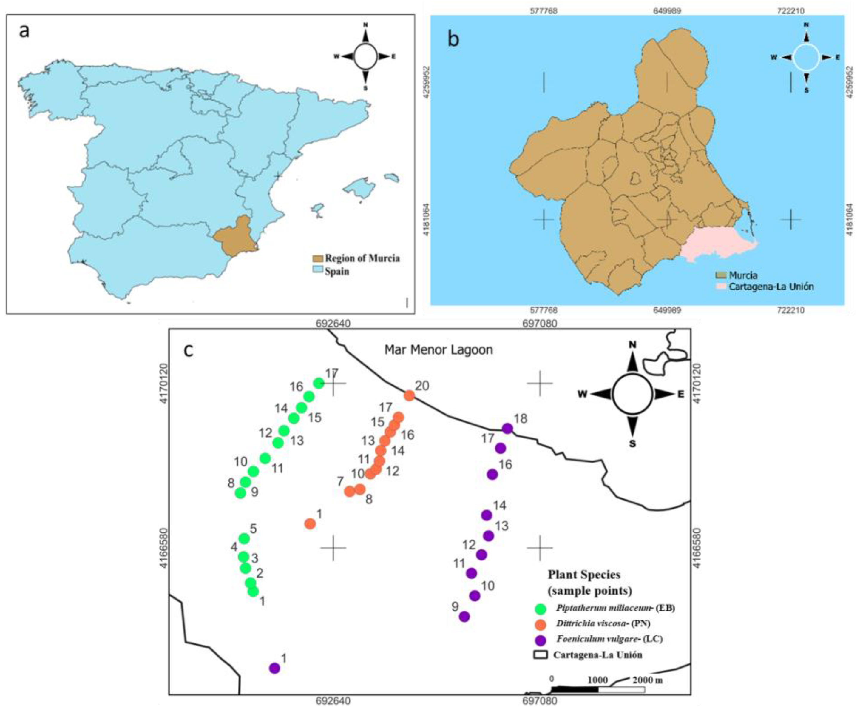 Plants 12 03775 g001