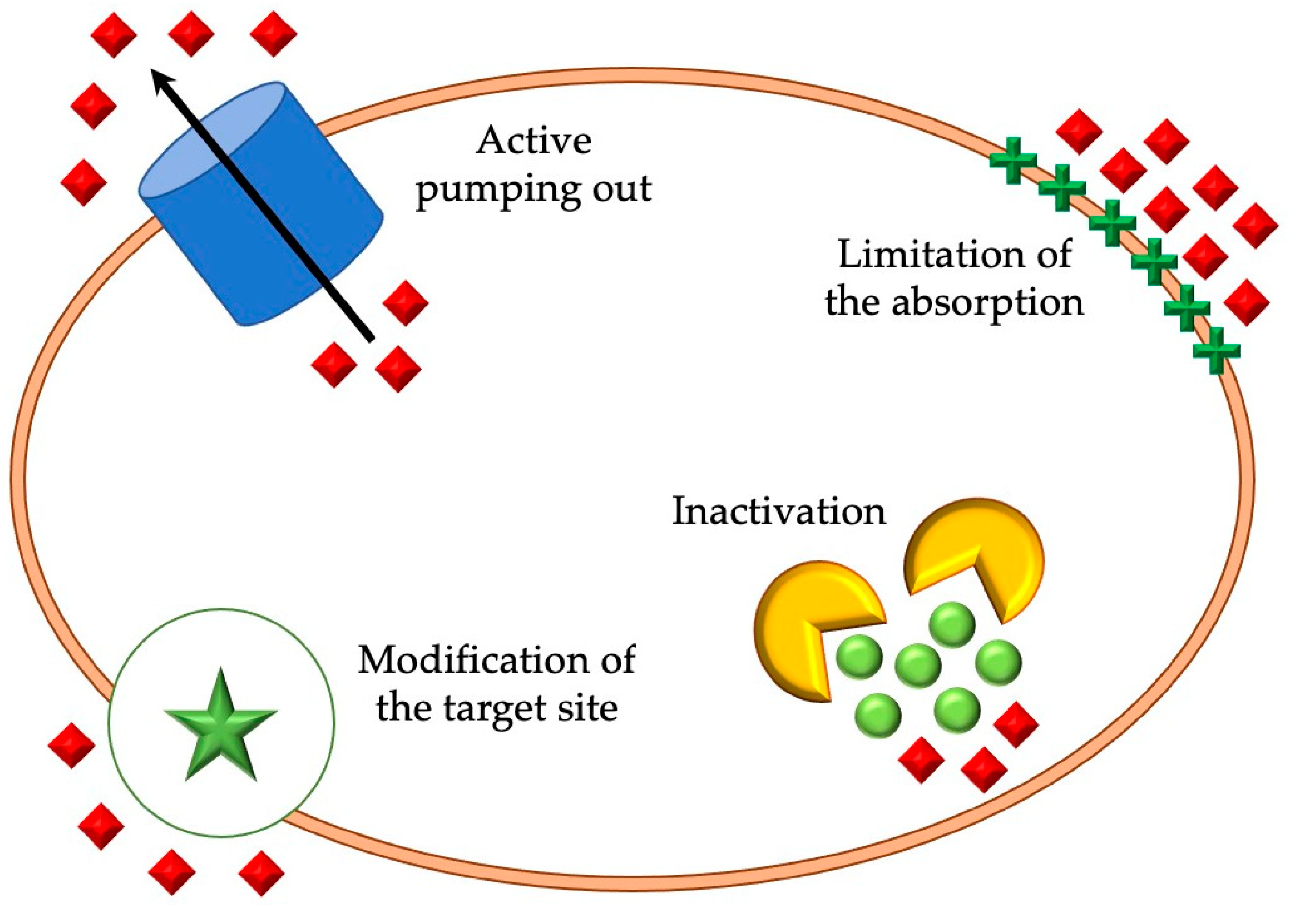 Plants 12 03777 g001 Plants 12 03777 g001