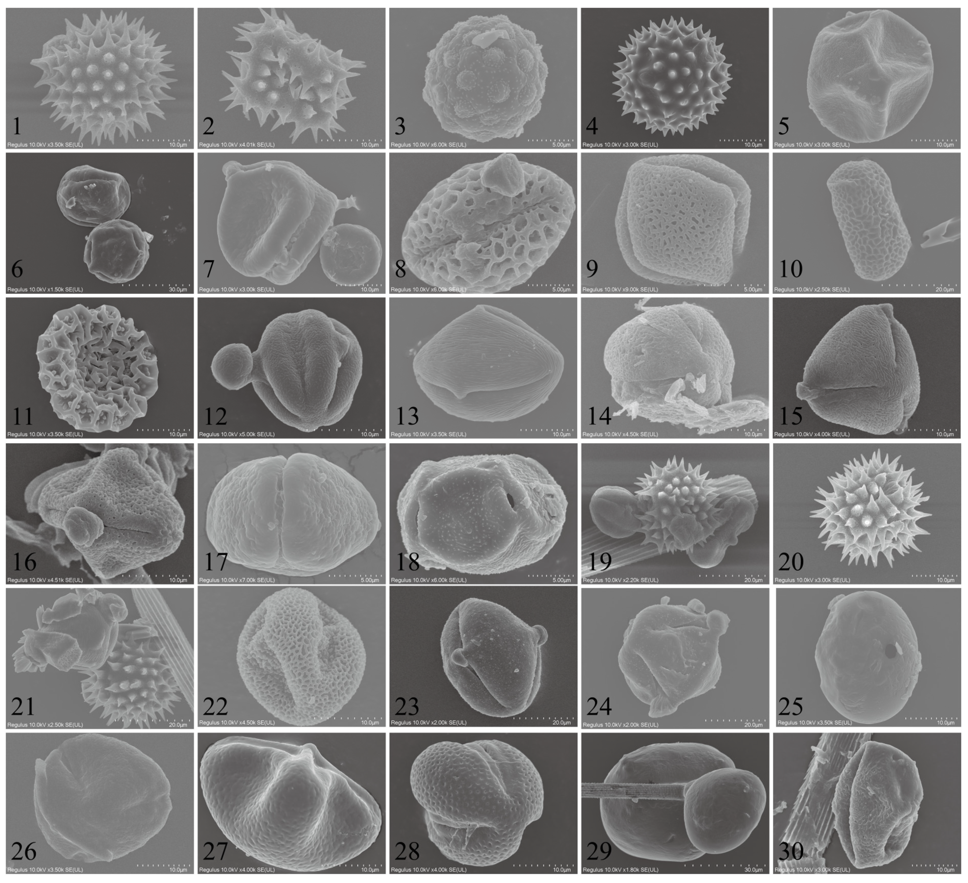 Plants 12 03778 g004