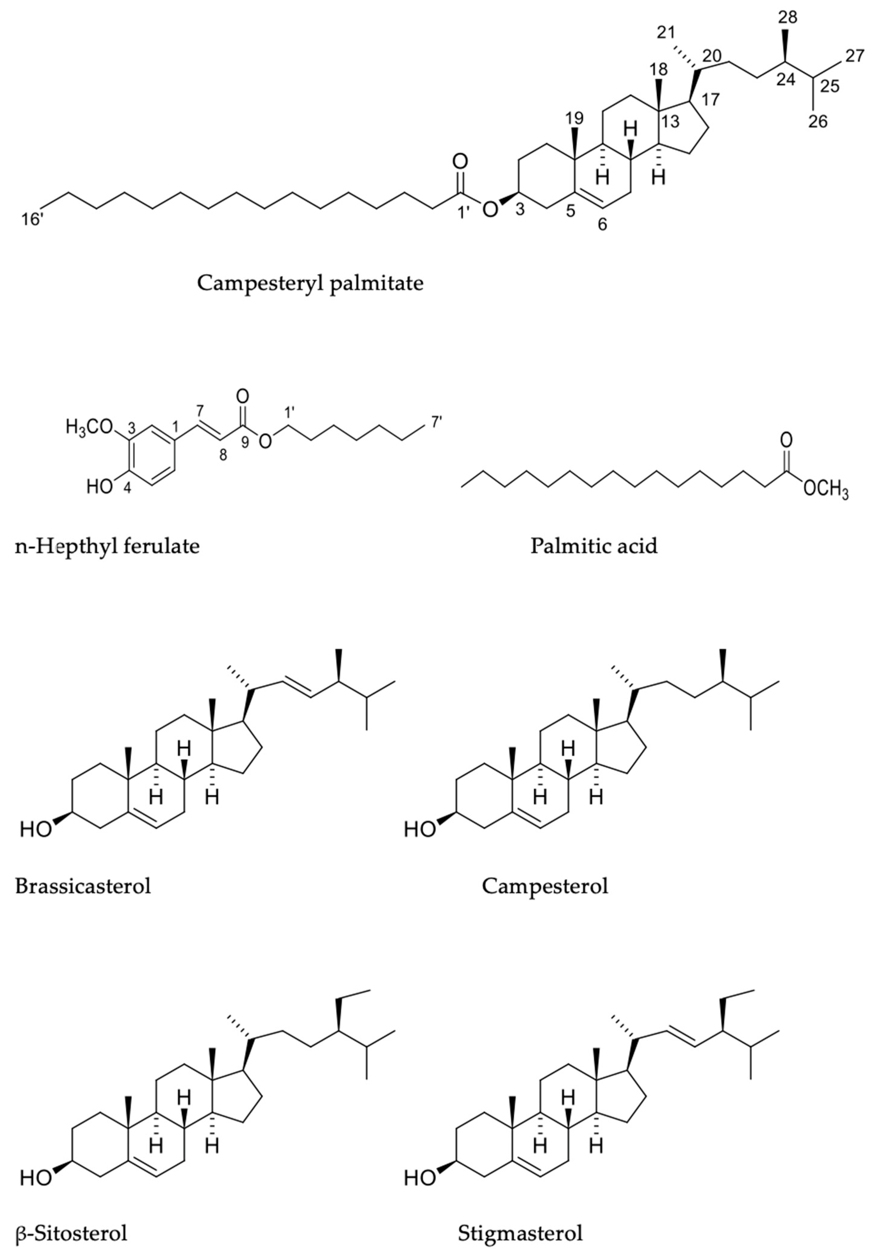 Plants 12 03780 g001