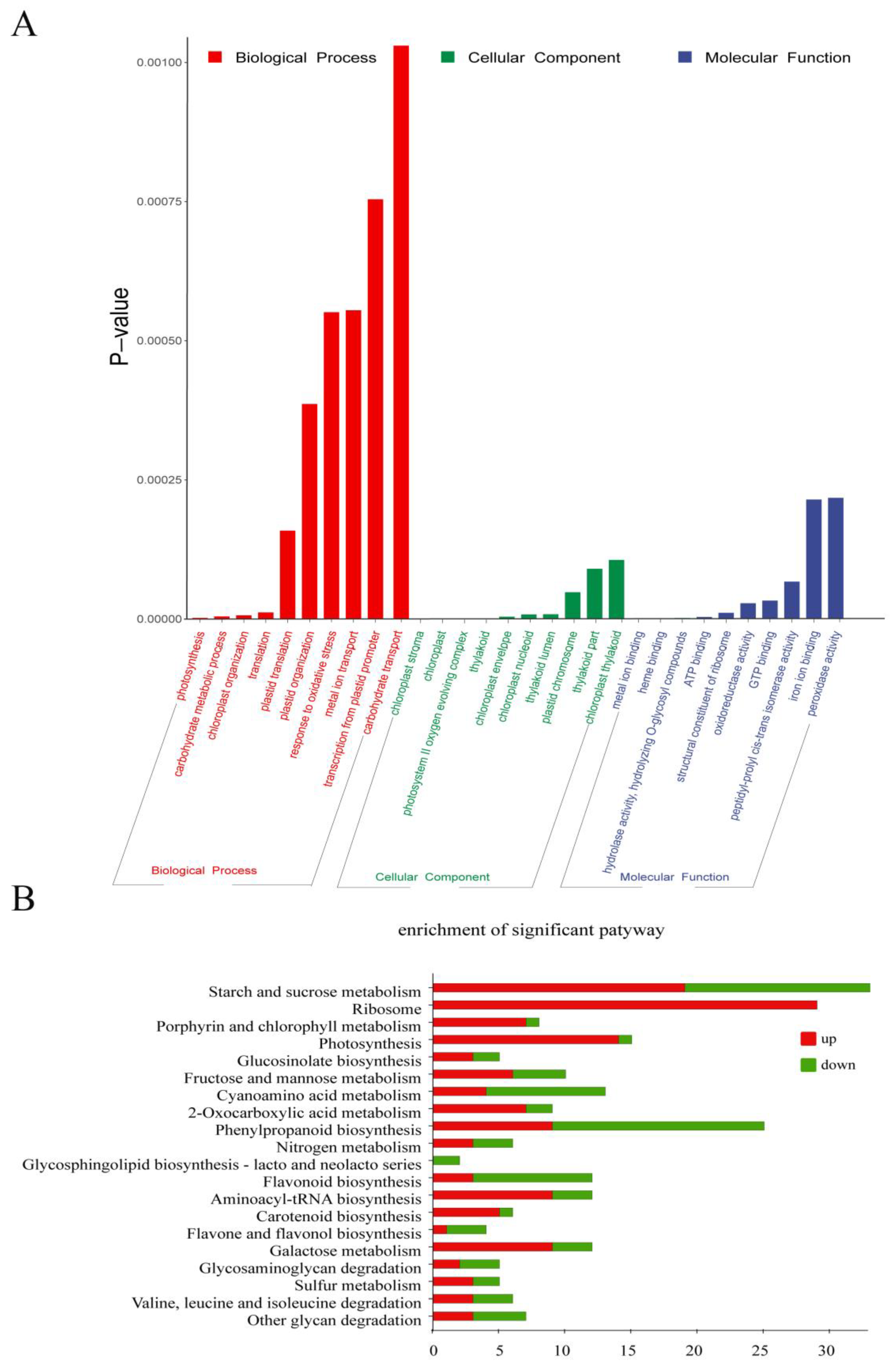 Plants 12 03785 g004