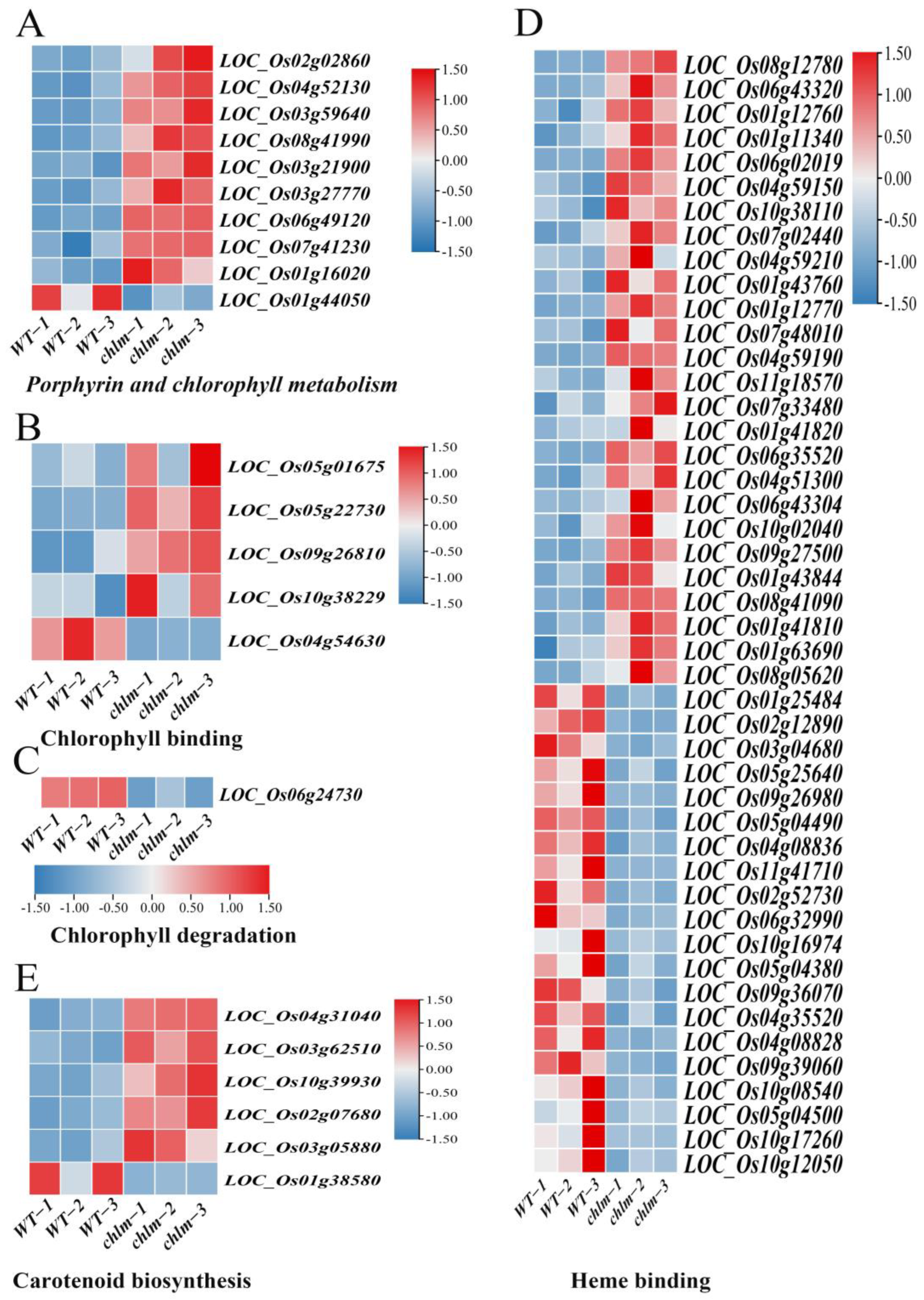 Plants 12 03785 g006