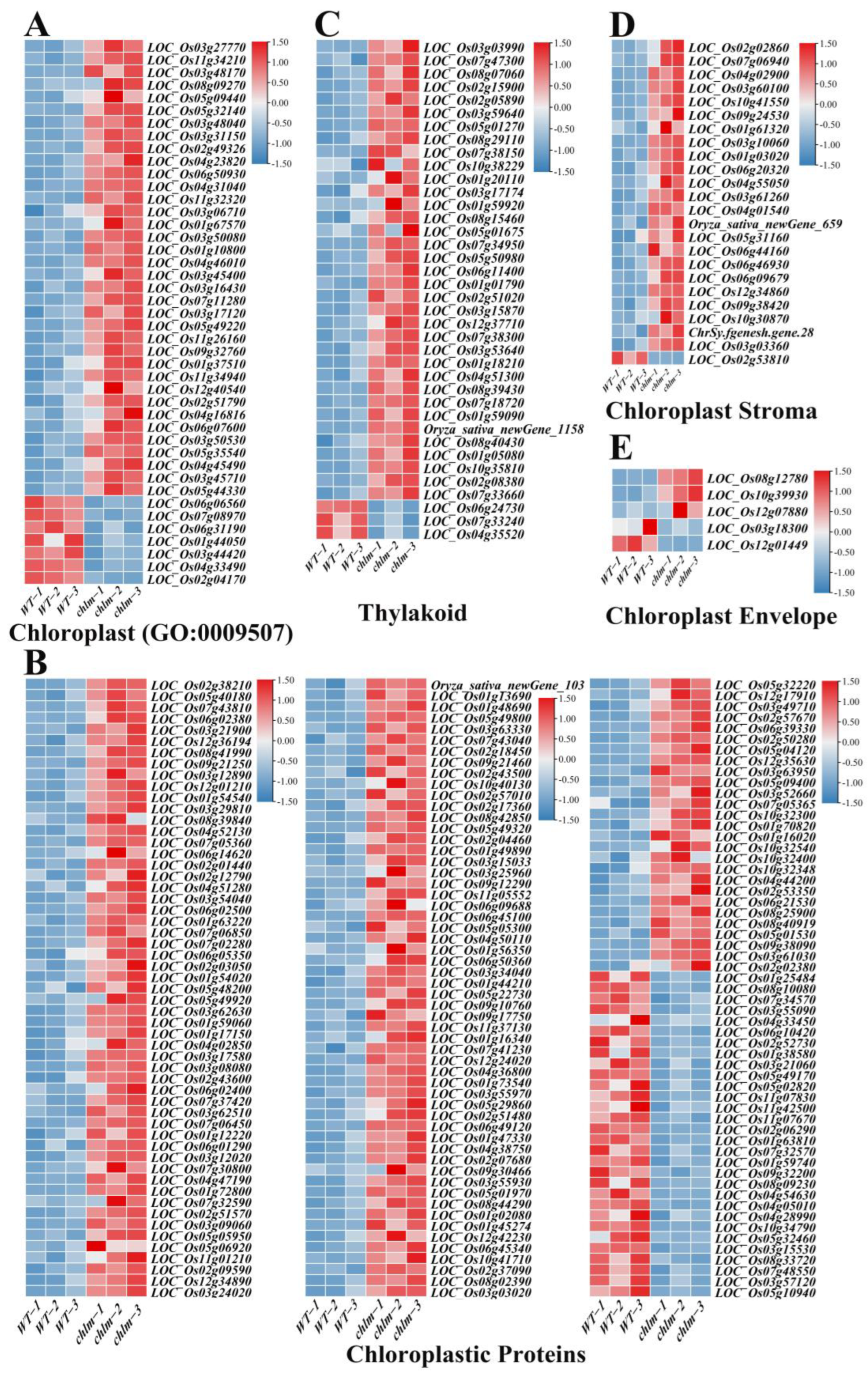 Plants 12 03785 g007