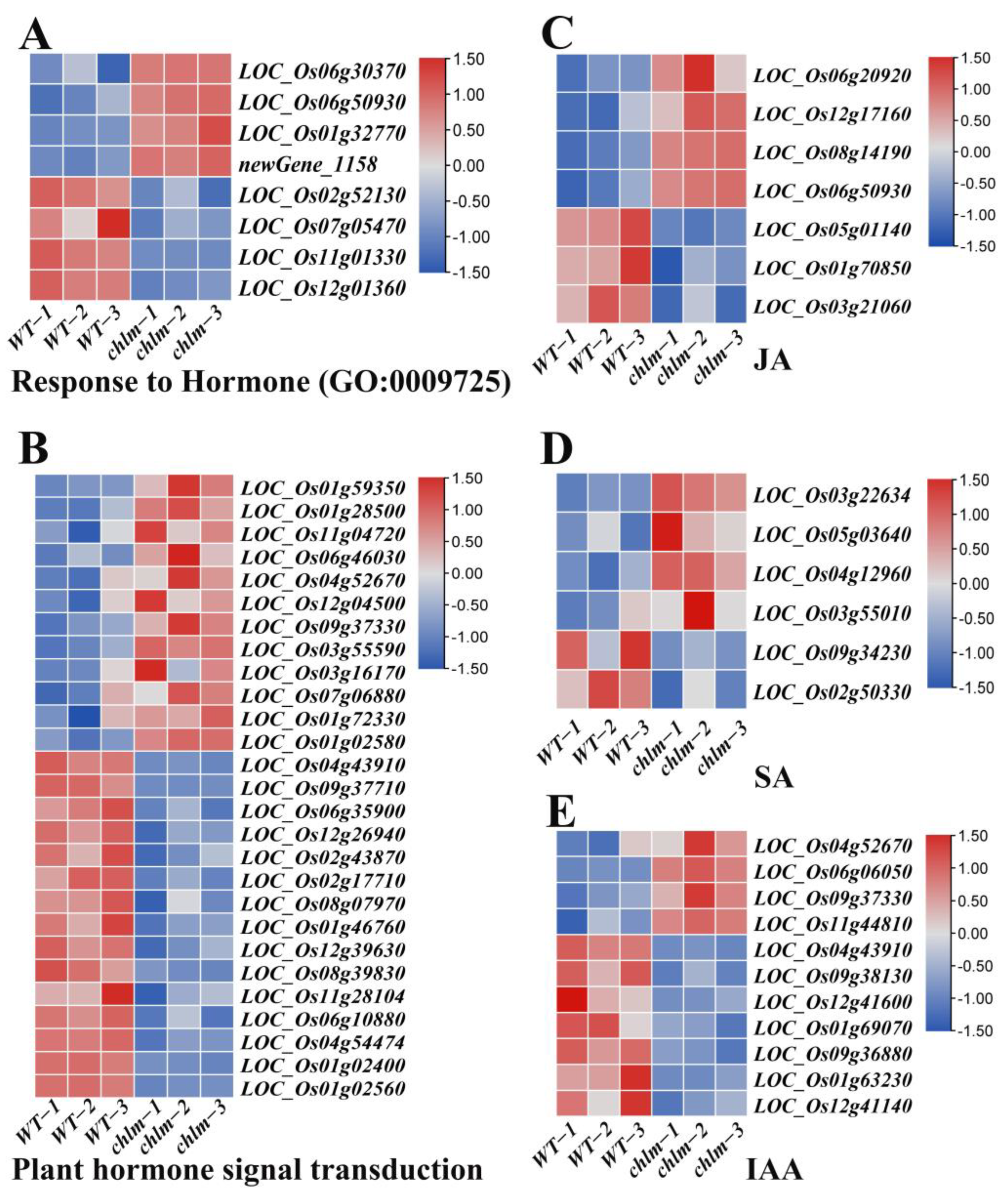 Plants 12 03785 g008