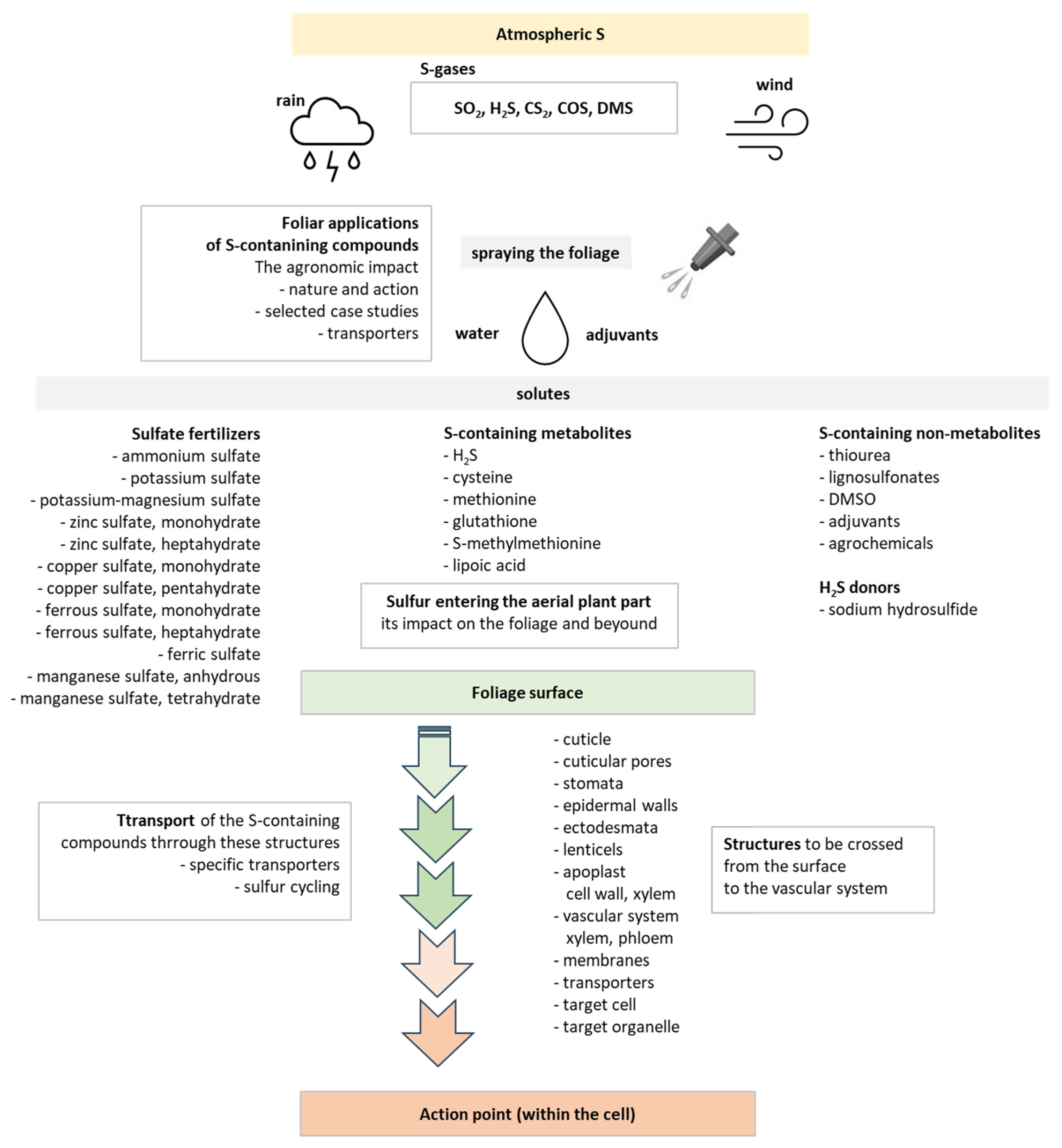 Plants 12 03794 g001
