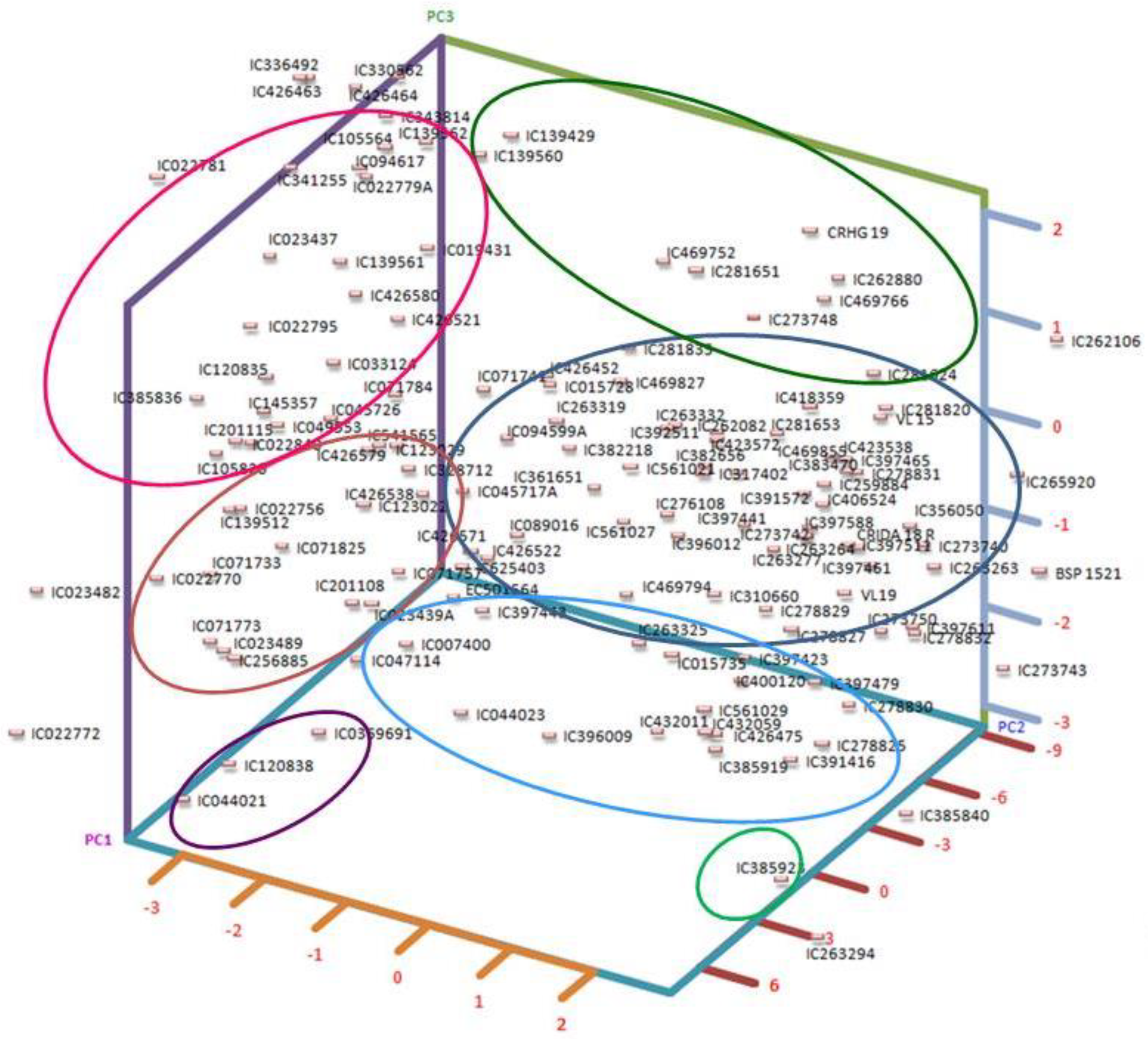 Plants 12 03803 g001