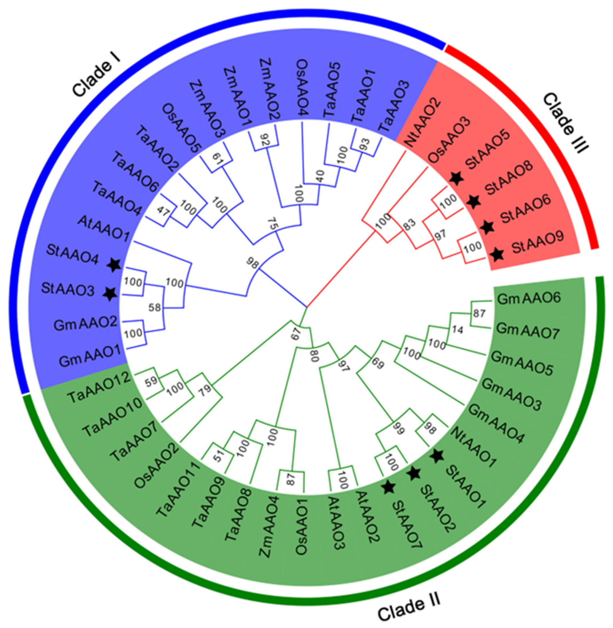 Plants 12 03809 g002