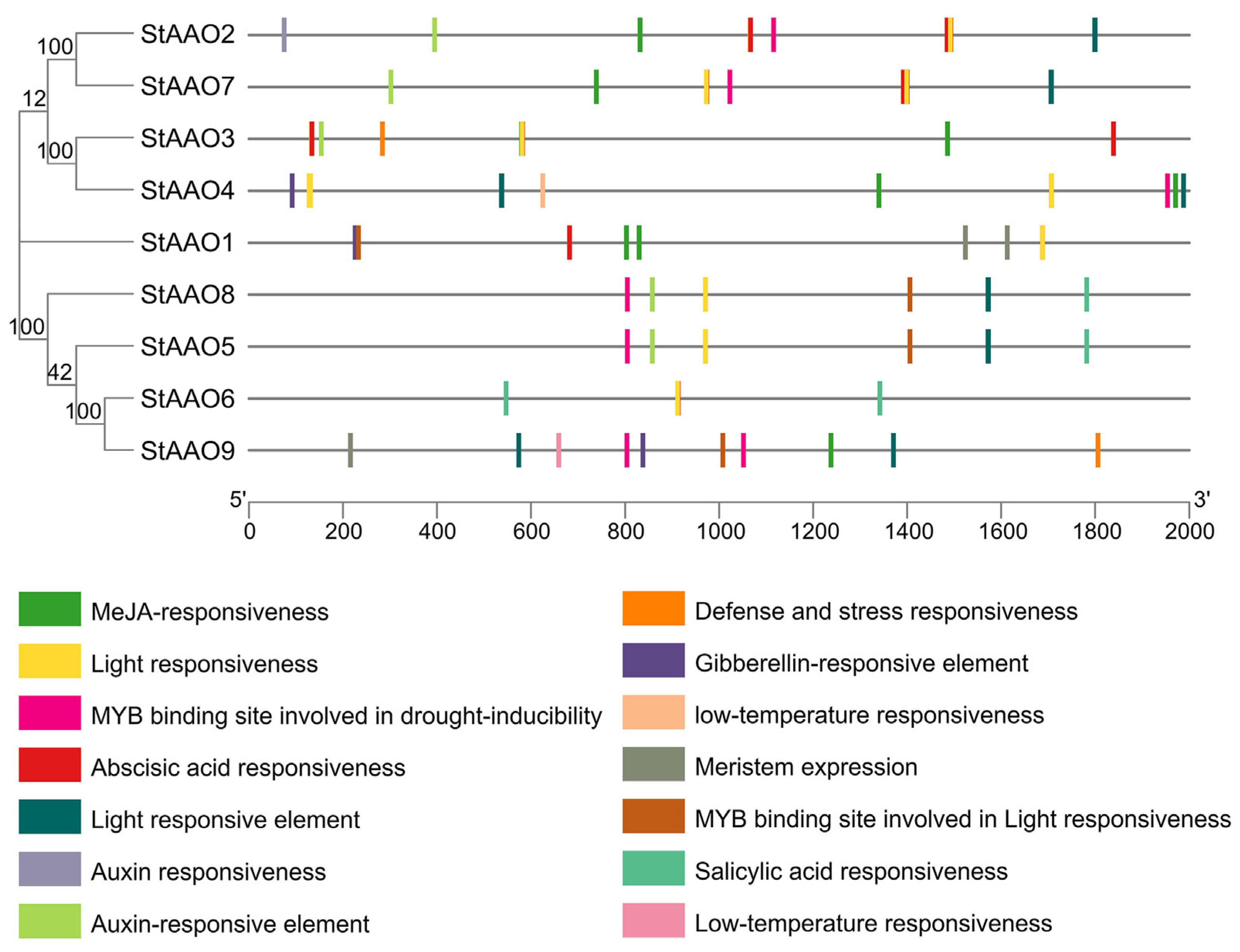 Plants 12 03809 g006