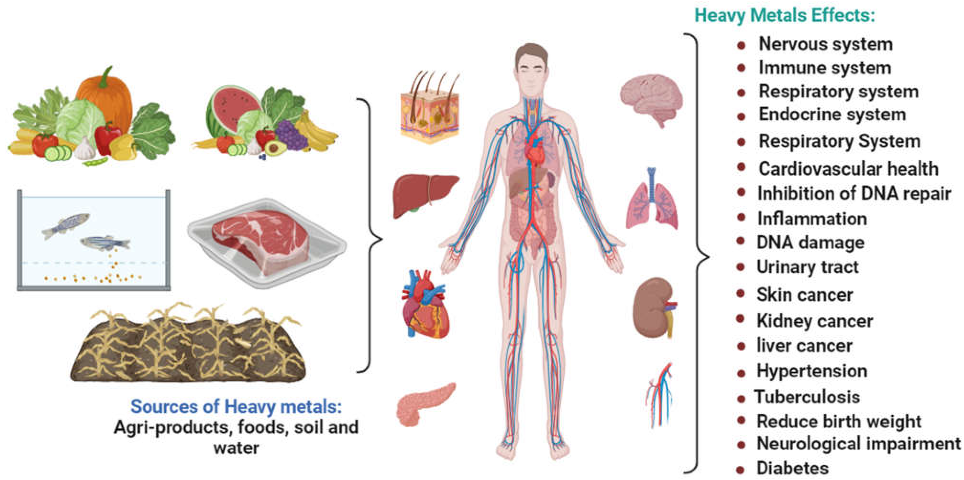 Plants 12 03816 g003 Plants 12 03816 g003