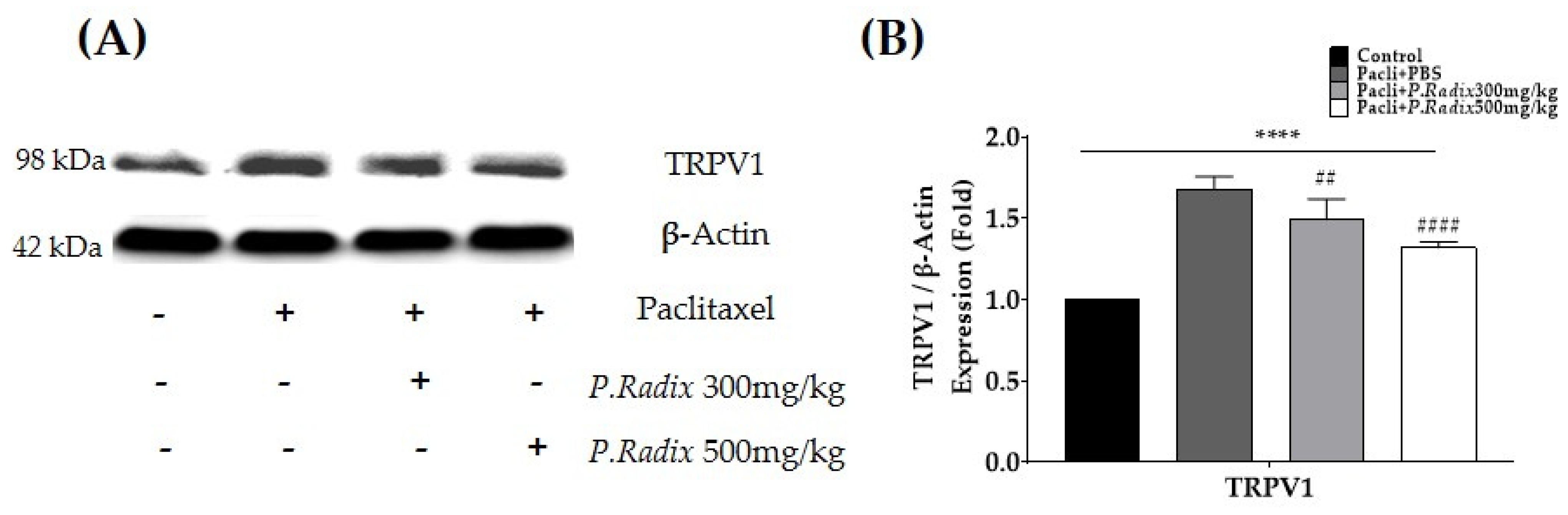 Plants 12 03819 g004
