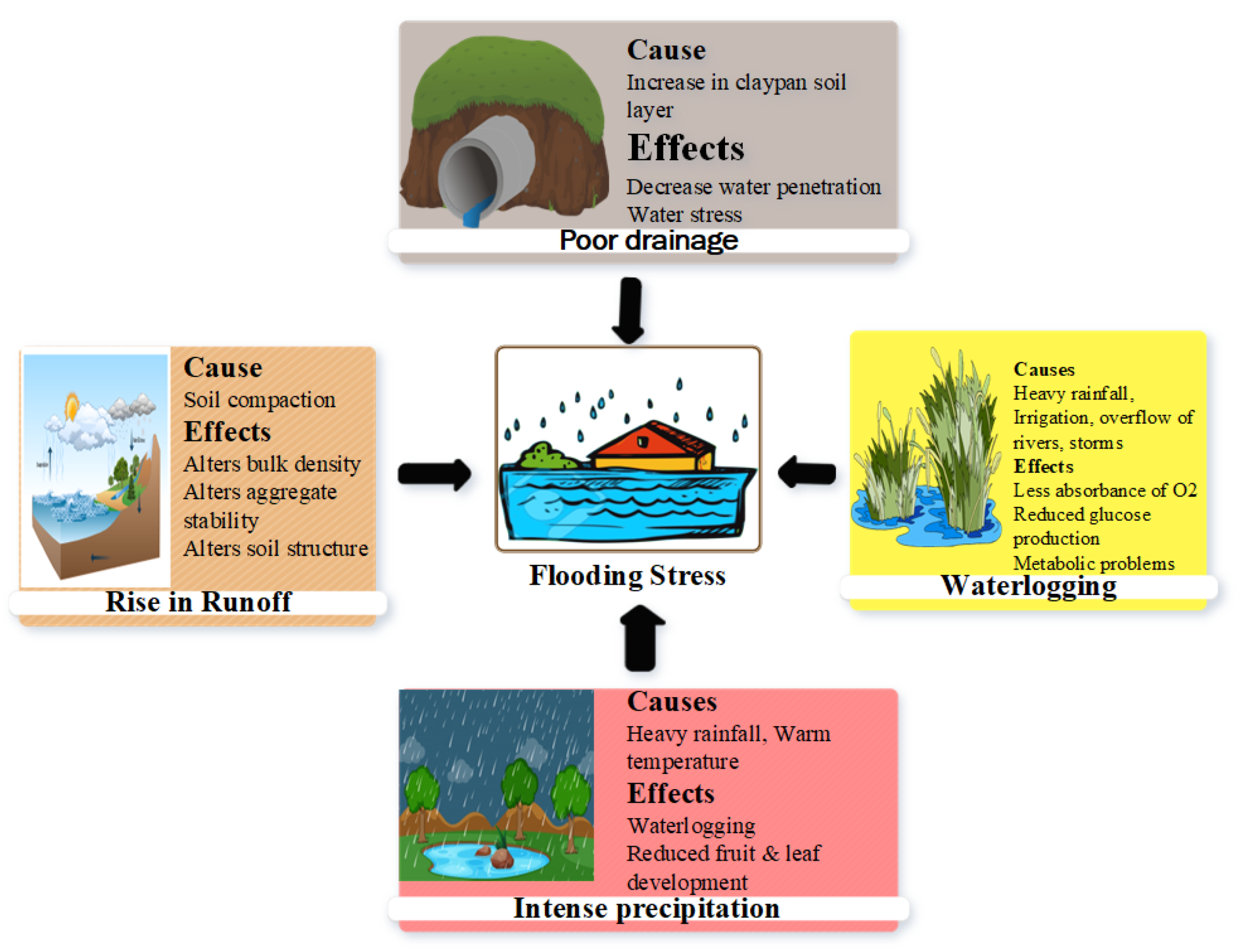 Plants 12 03824 g001 Plants 12 03824 g001