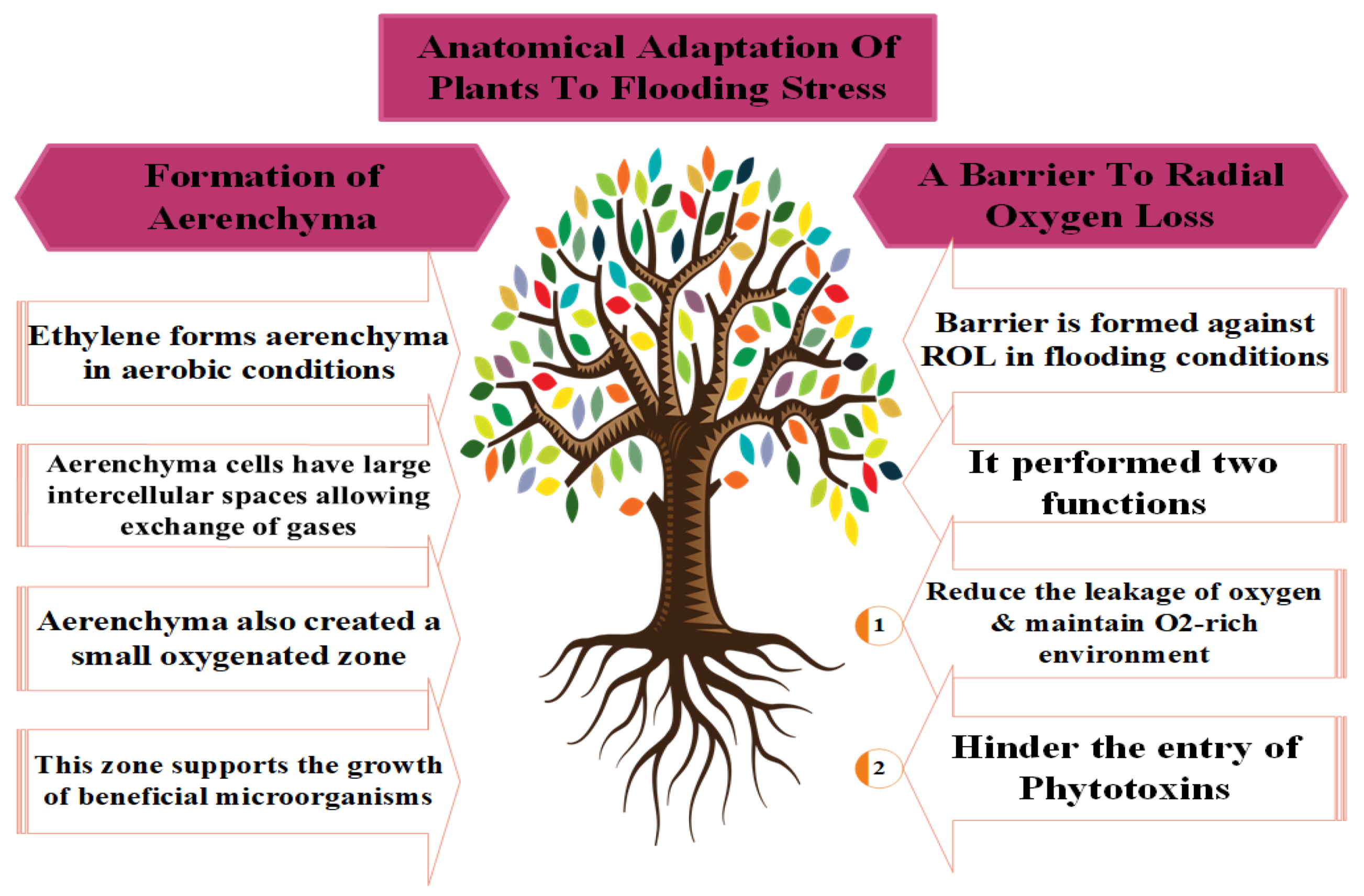 Plants 12 03824 g002 Plants 12 03824 g002