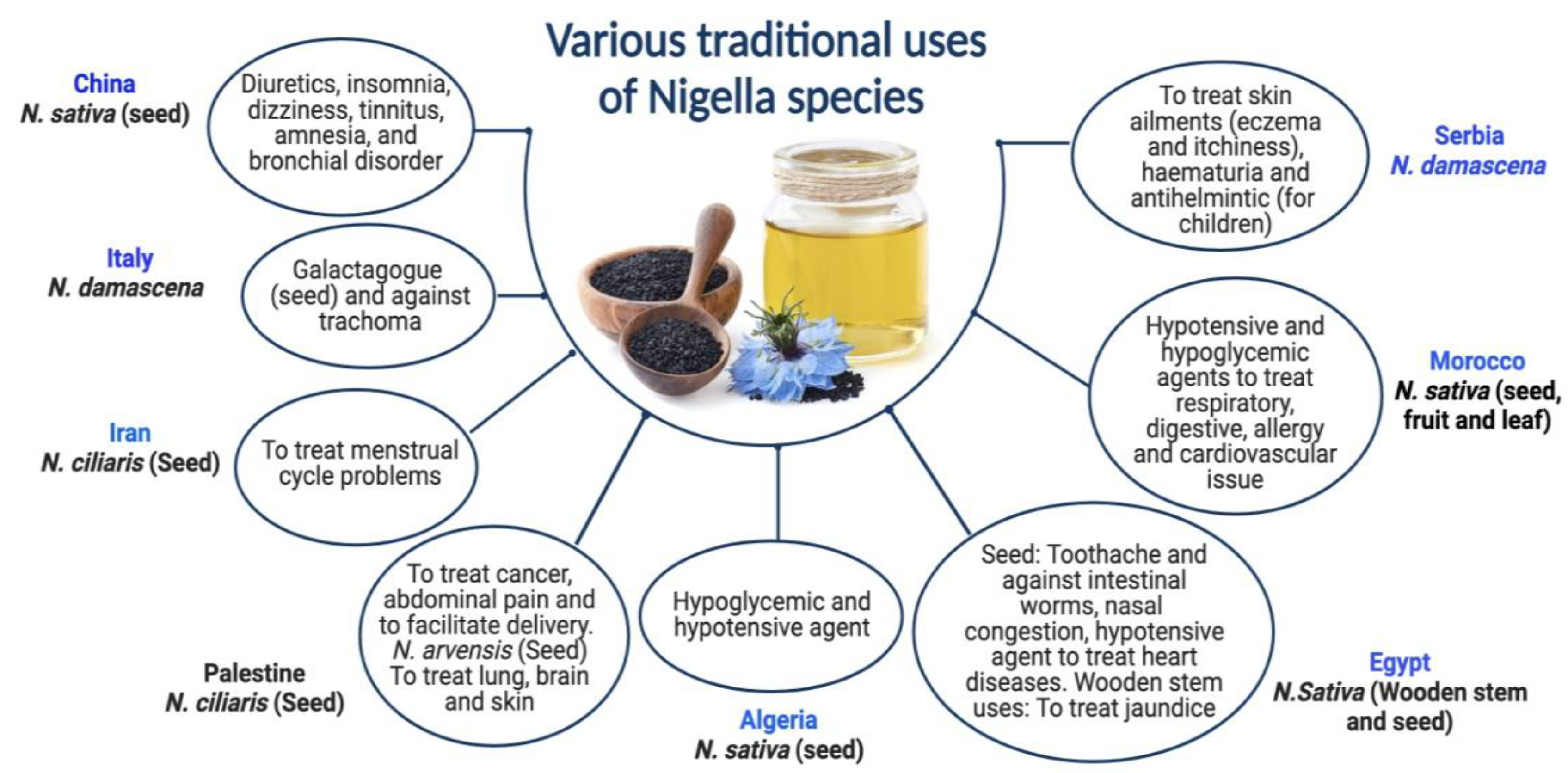 Plants 12 03829 g001