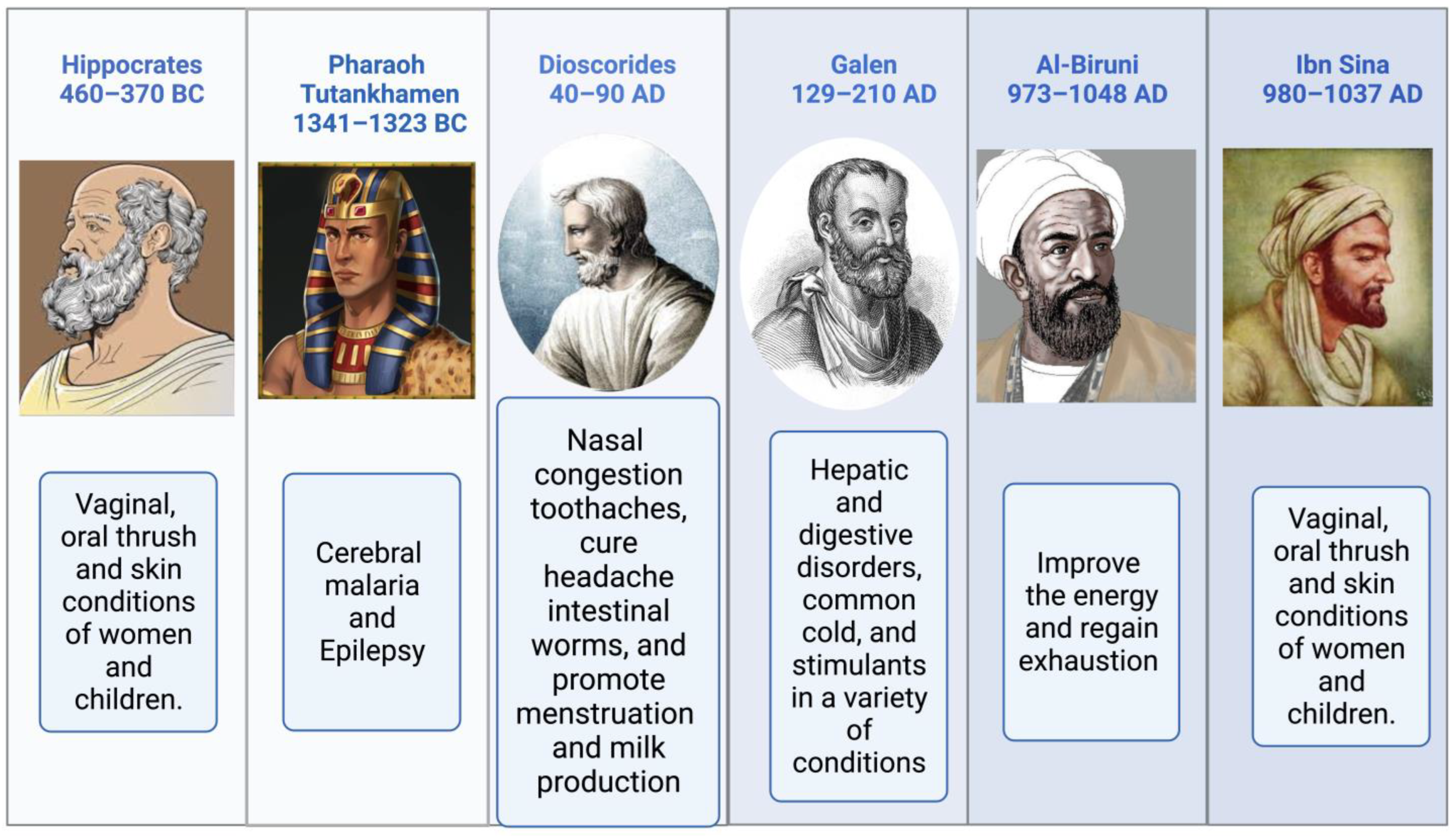 Plants 12 03829 g002