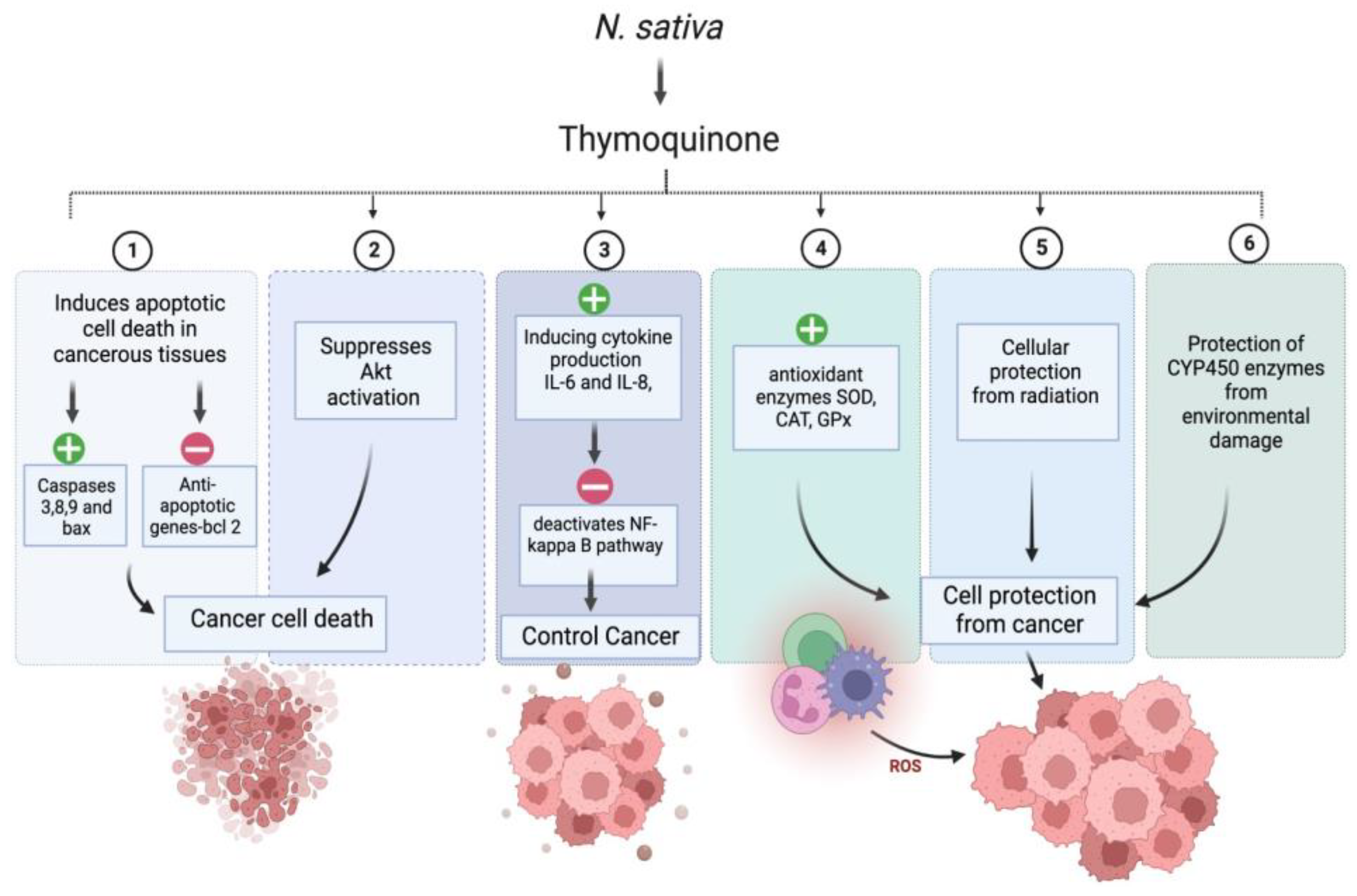 Plants 12 03829 g004