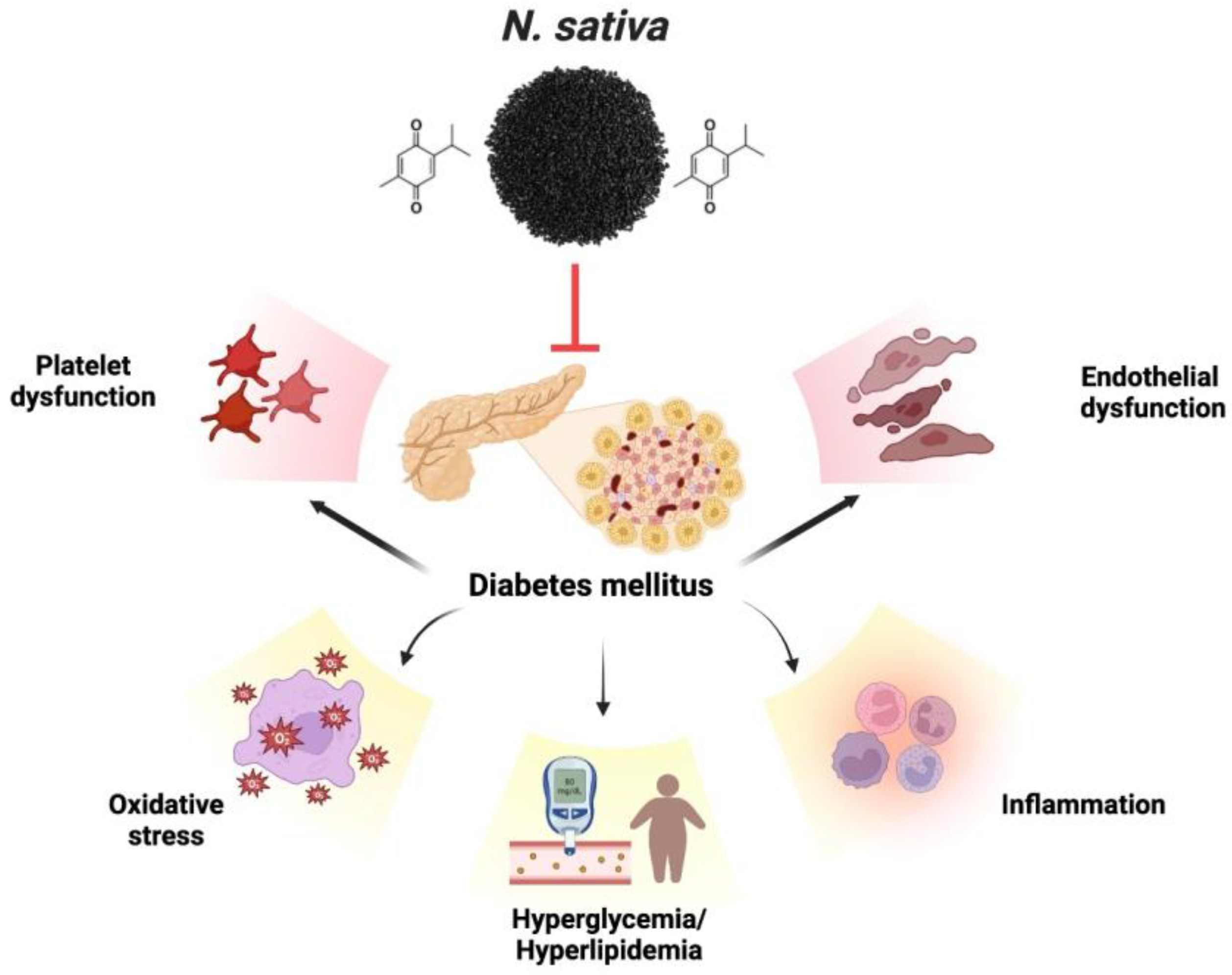 Plants 12 03829 g005