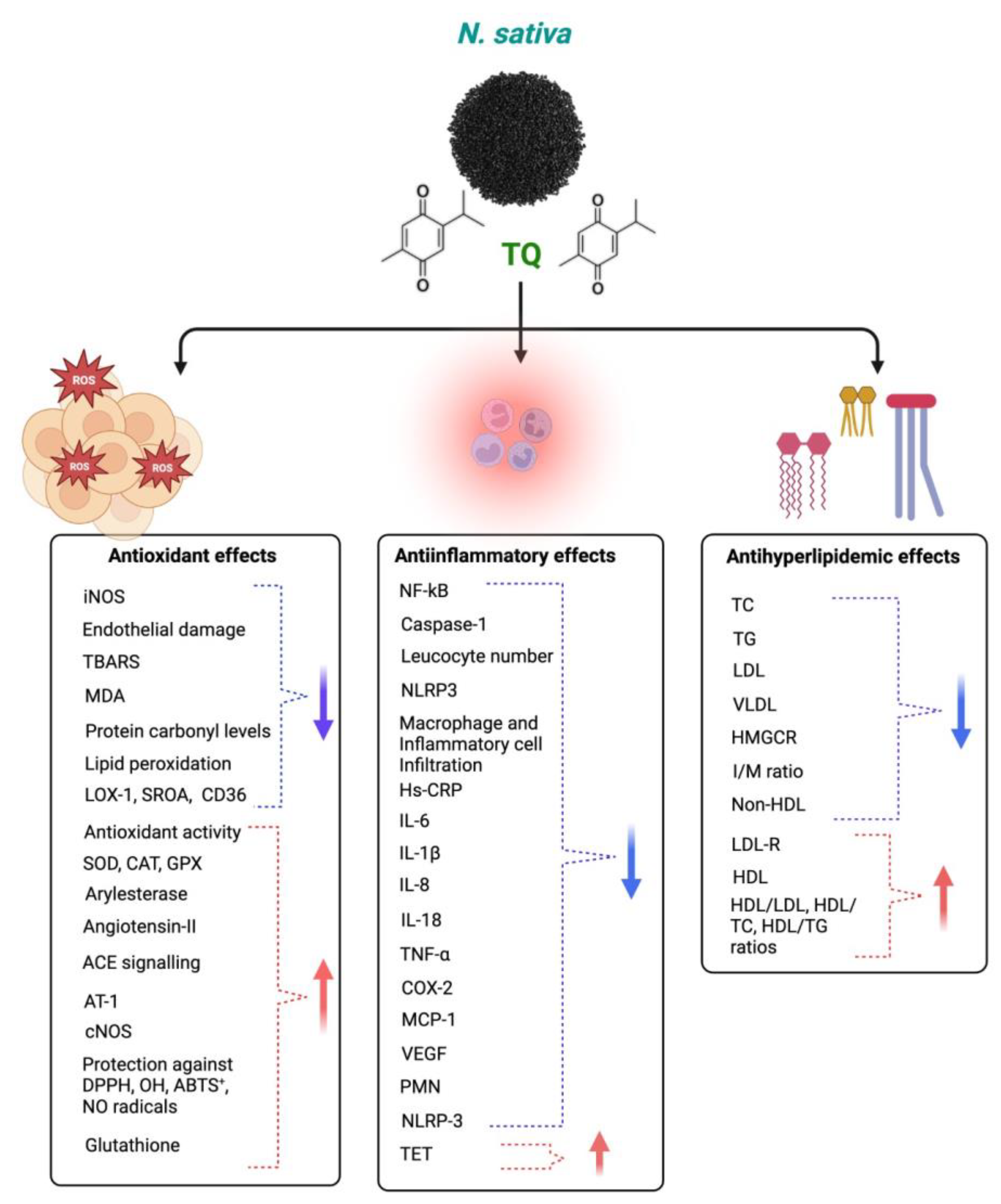 Plants 12 03829 g006