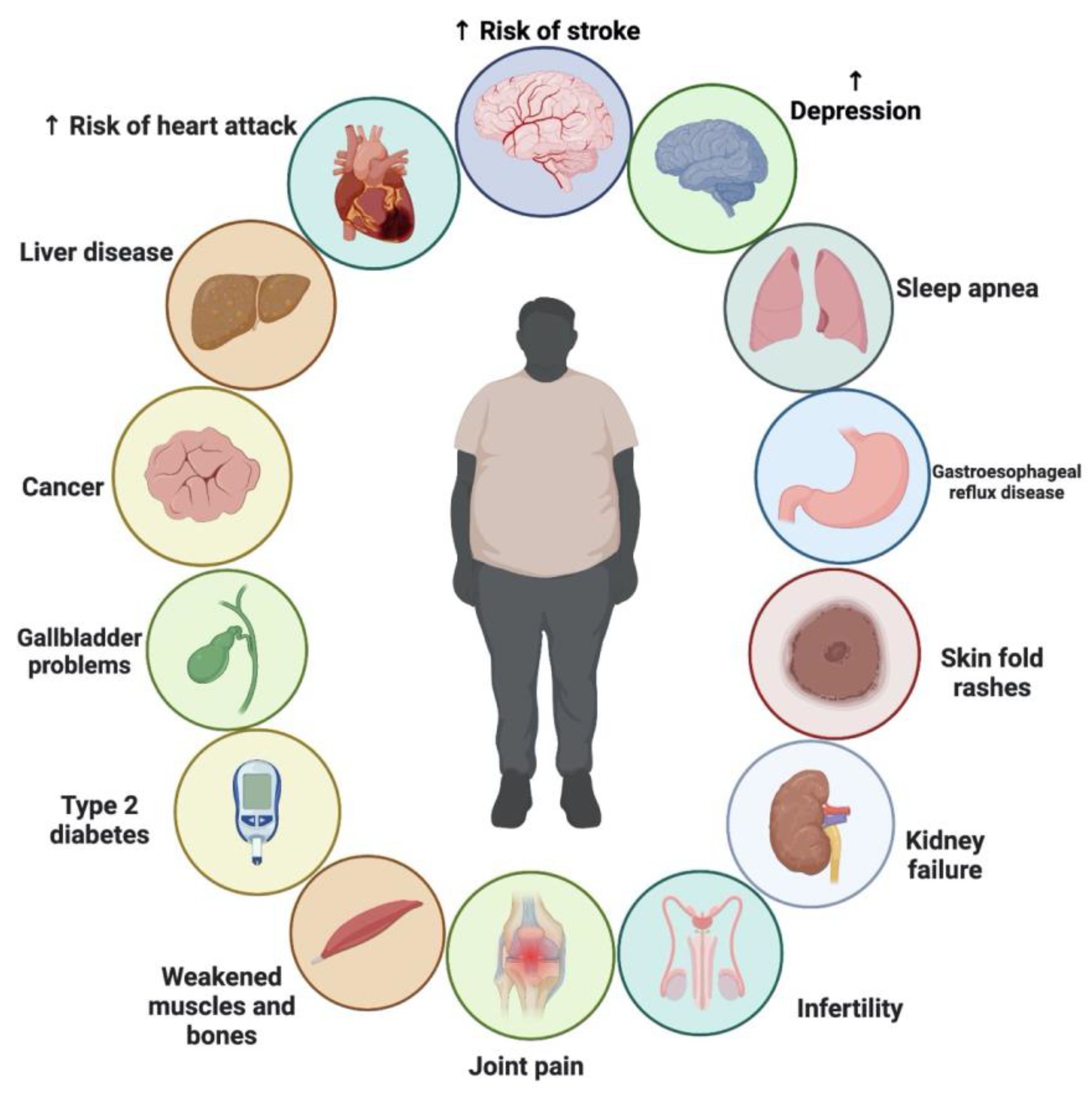 Plants 12 03829 g007