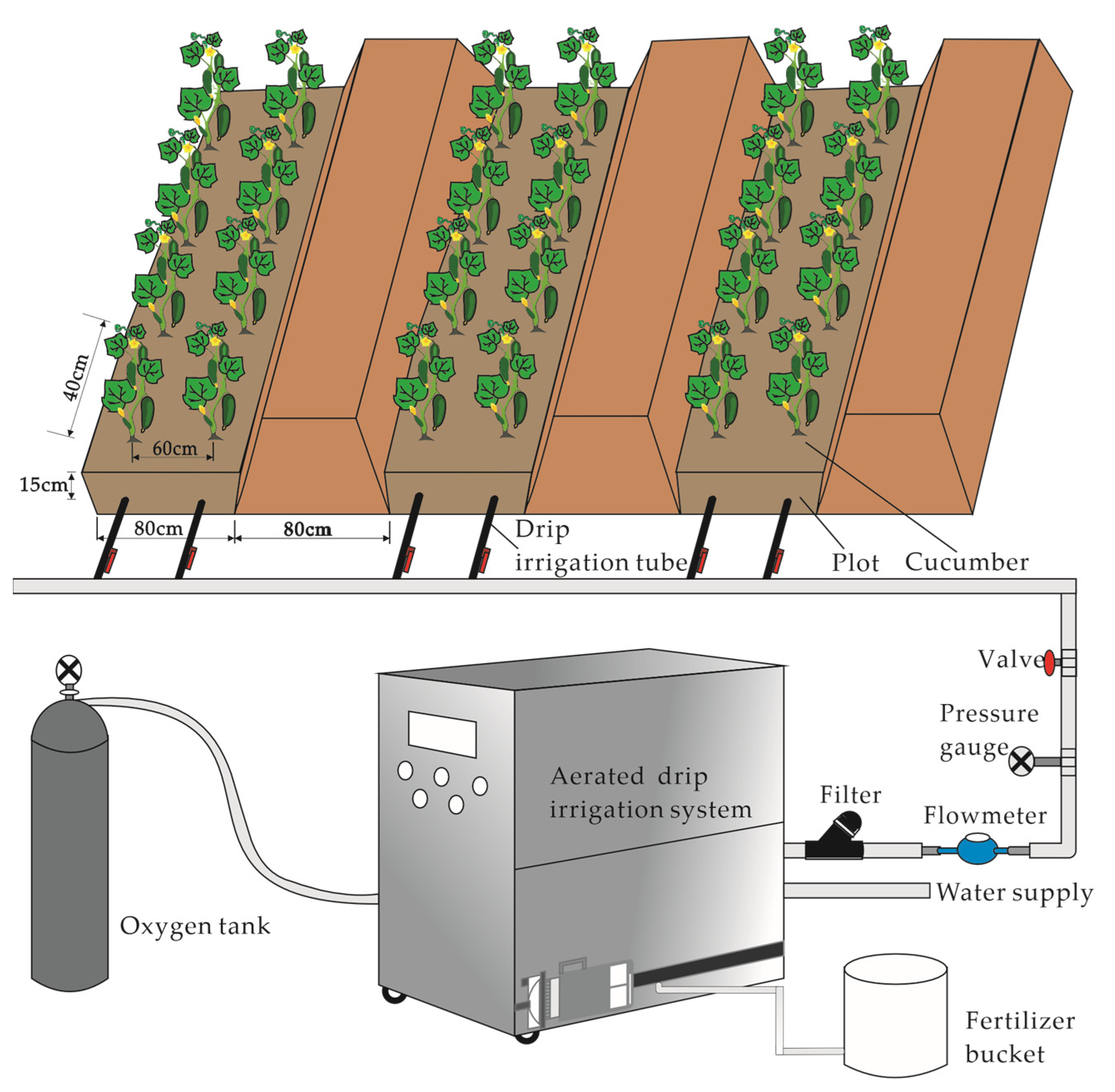 Plants 12 03834 g001