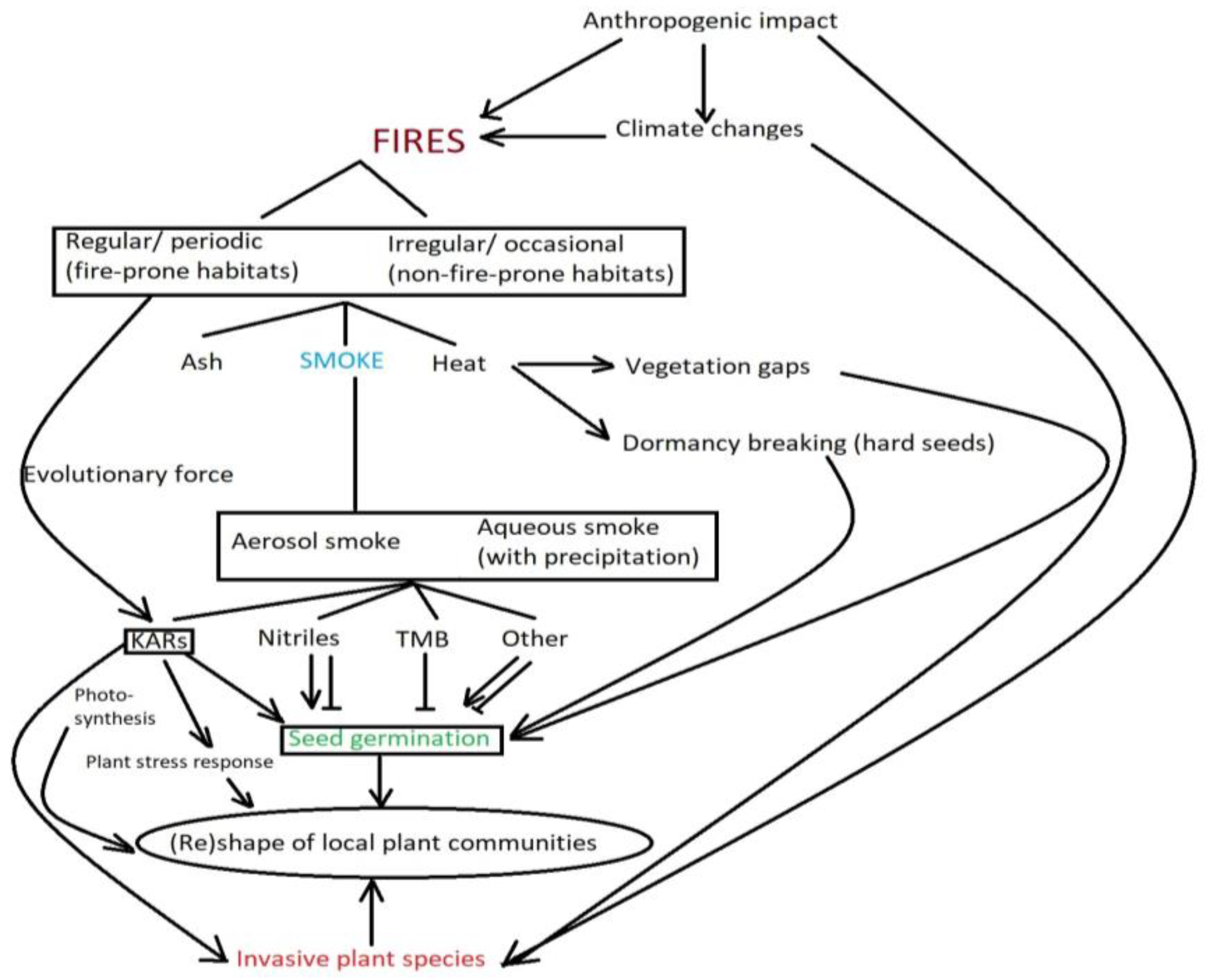 Plants 12 03835 g001