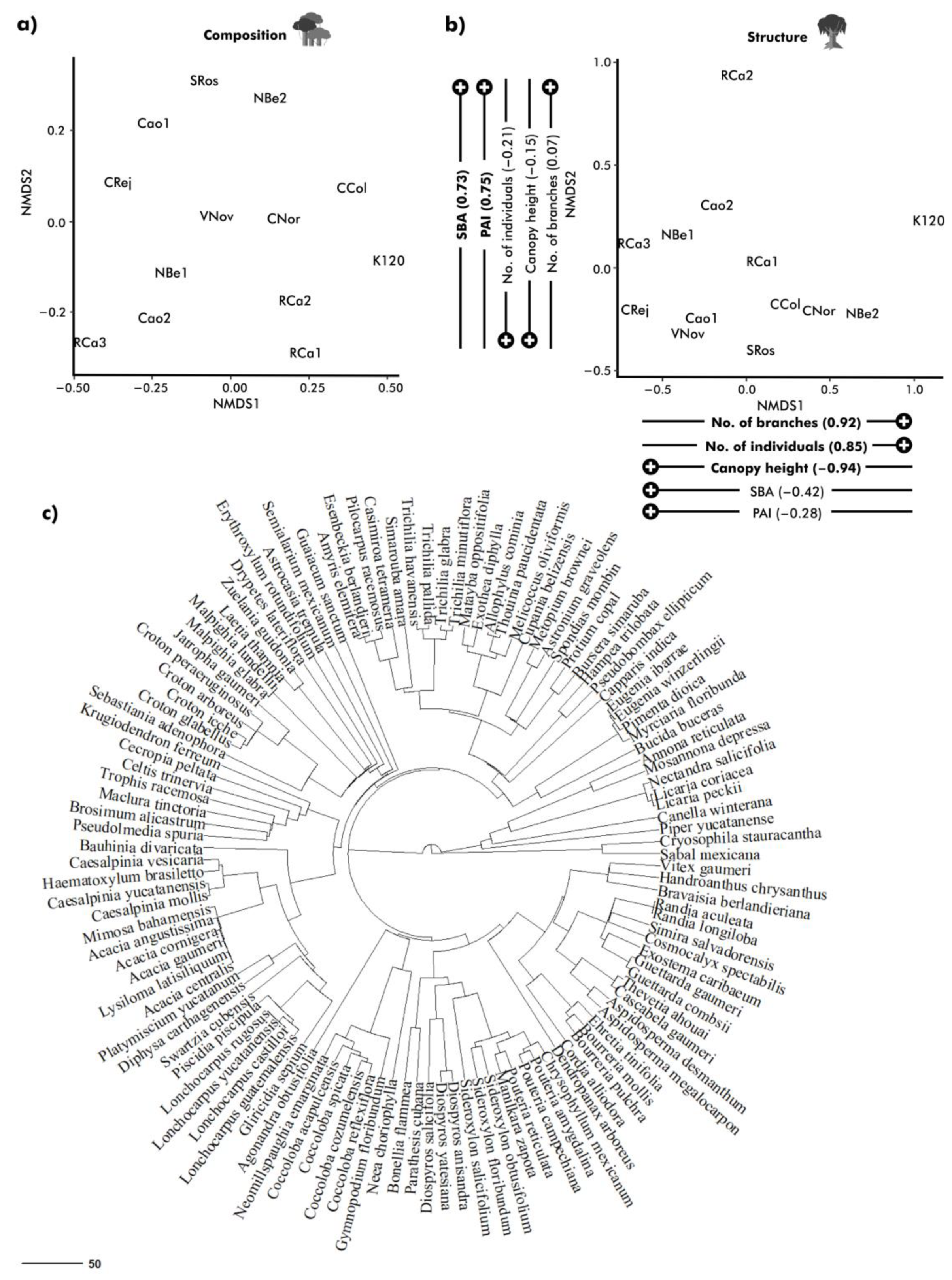 Plants 12 03839 g002