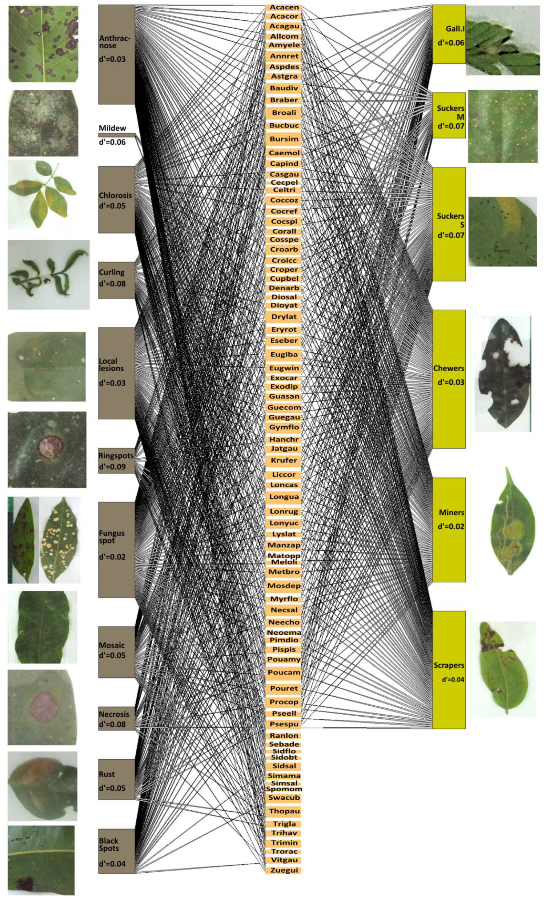 Plants 12 03839 g004