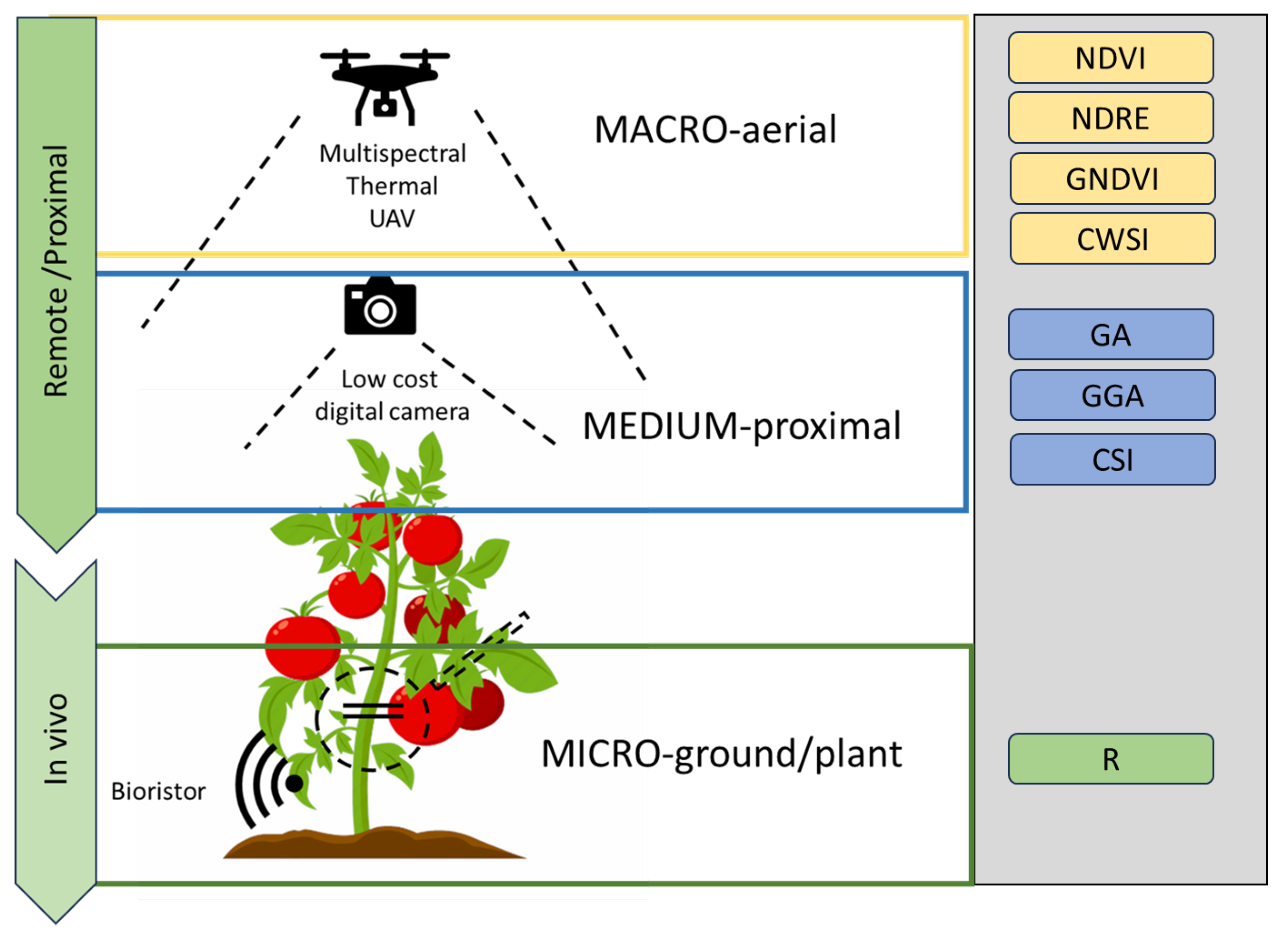 Plants 12 03851 g006