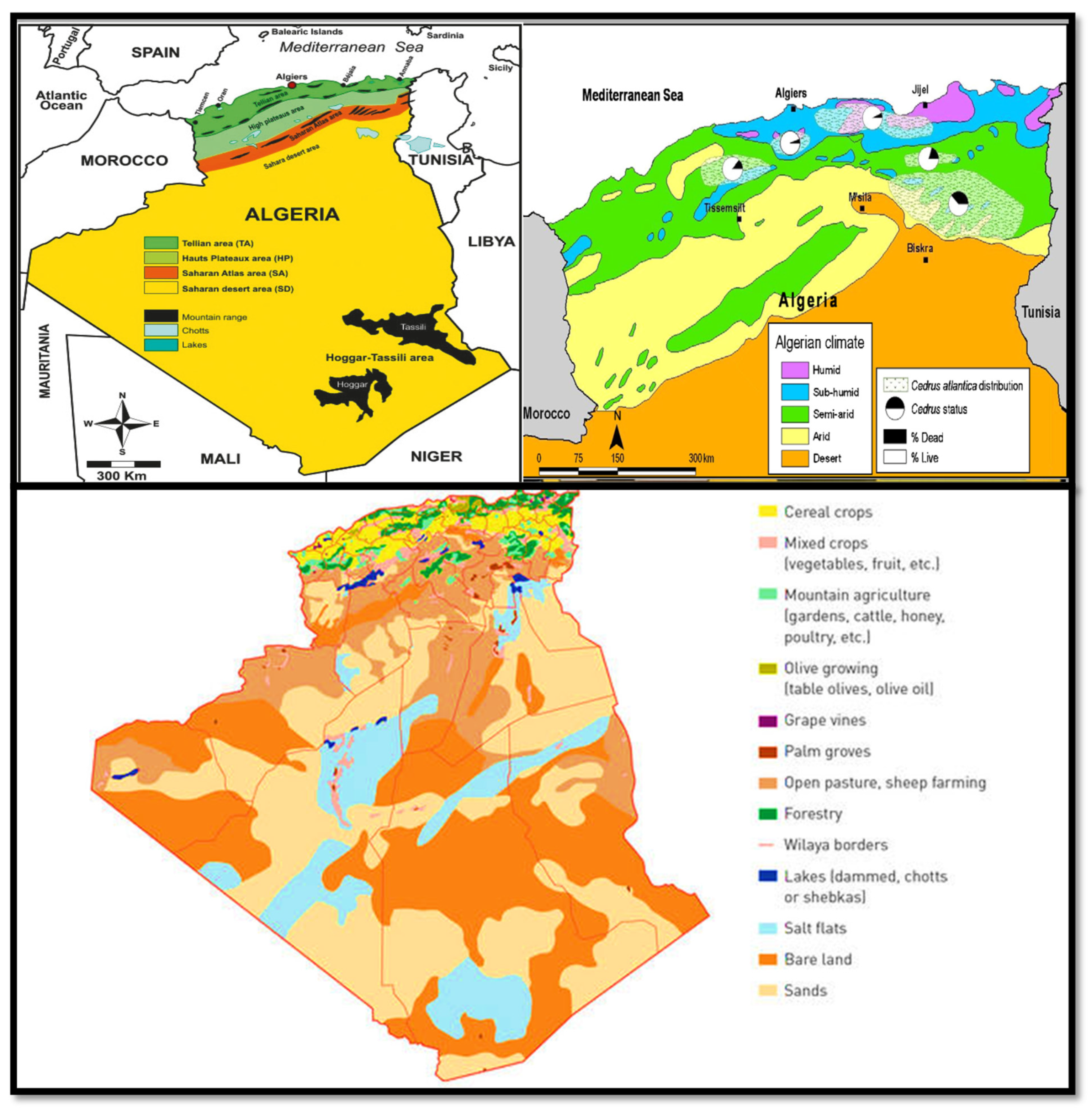 Plants 12 03860 g001 Plants 12 03860 g001