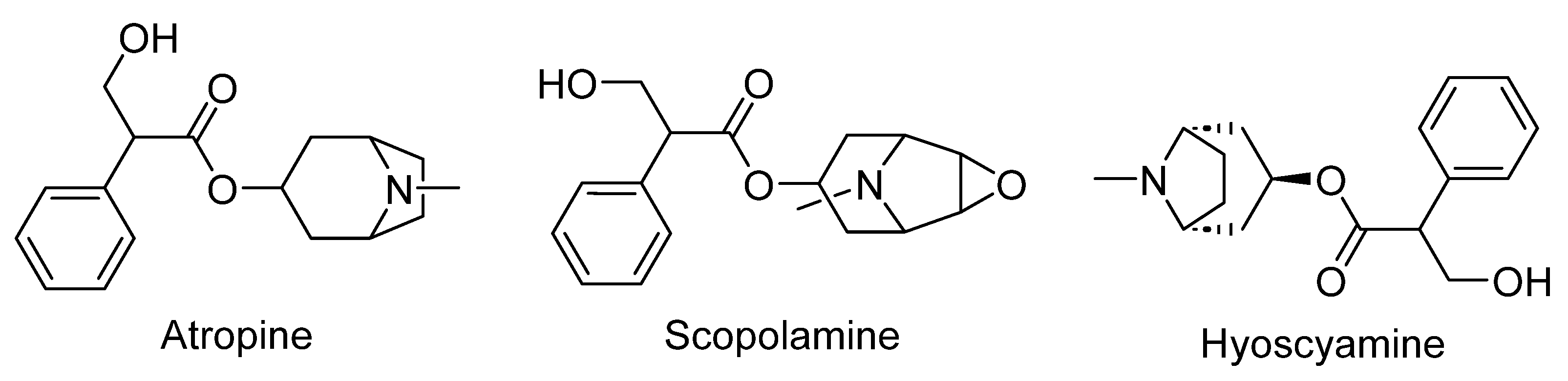 Plants 12 03860 g016 Plants 12 03860 g016