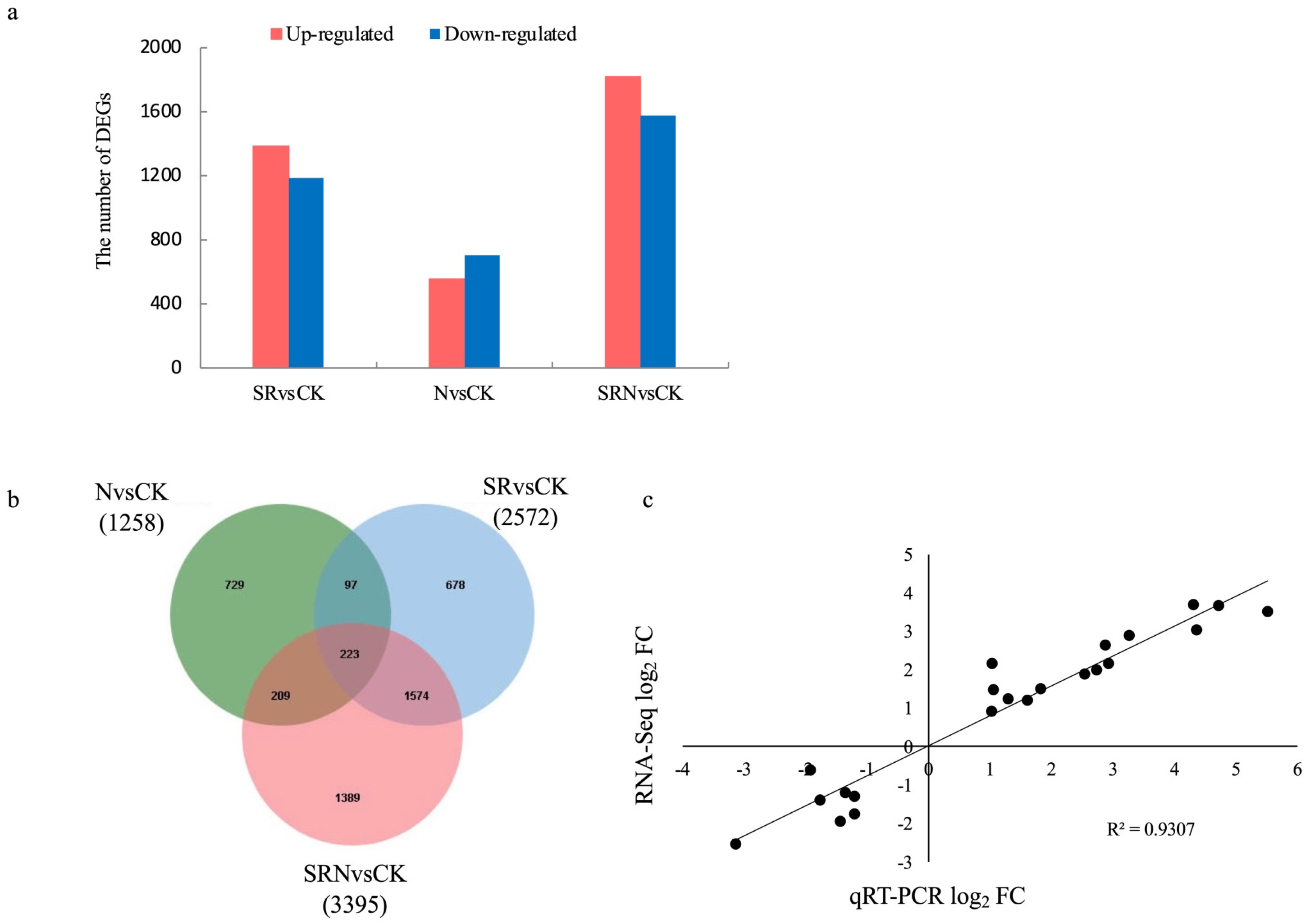Plants 12 03868 g002