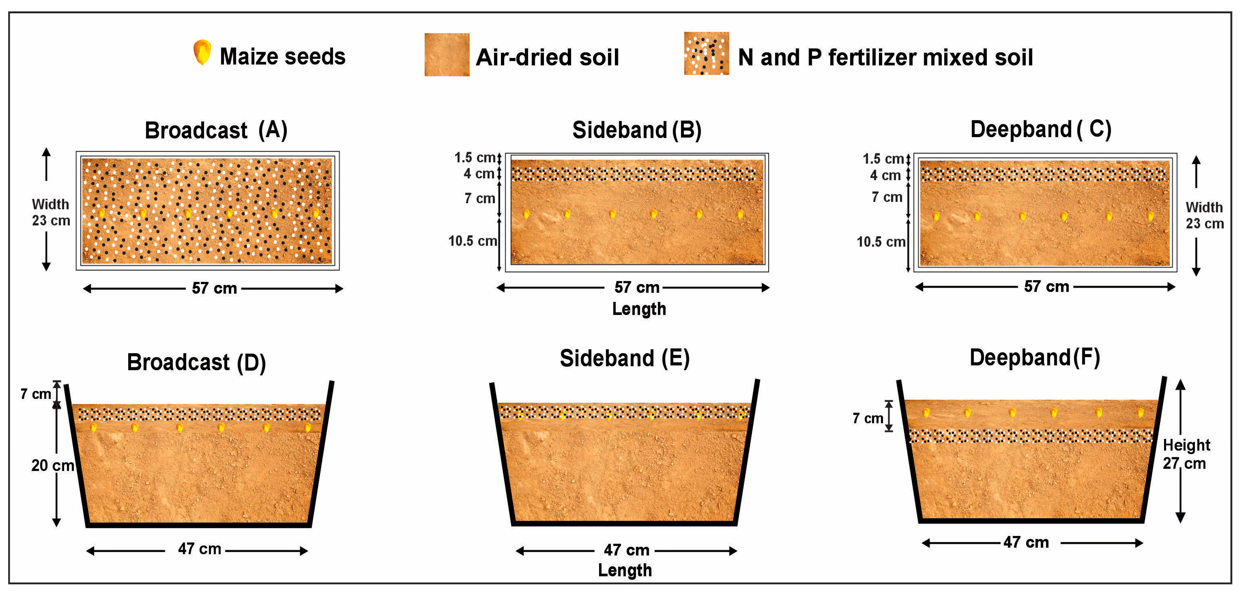 Plants 12 03870 g011
