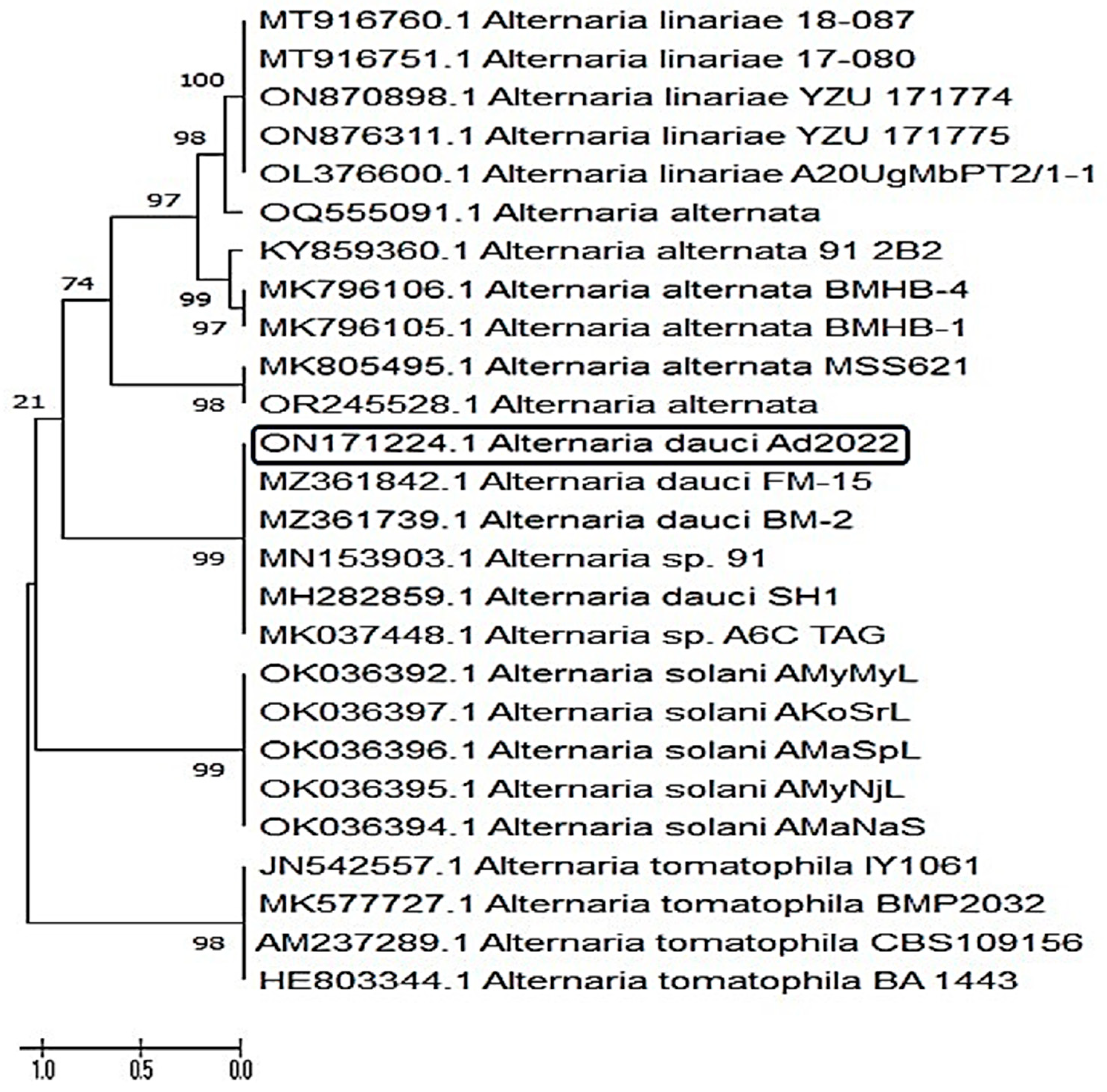 Plants 12 03872 g004