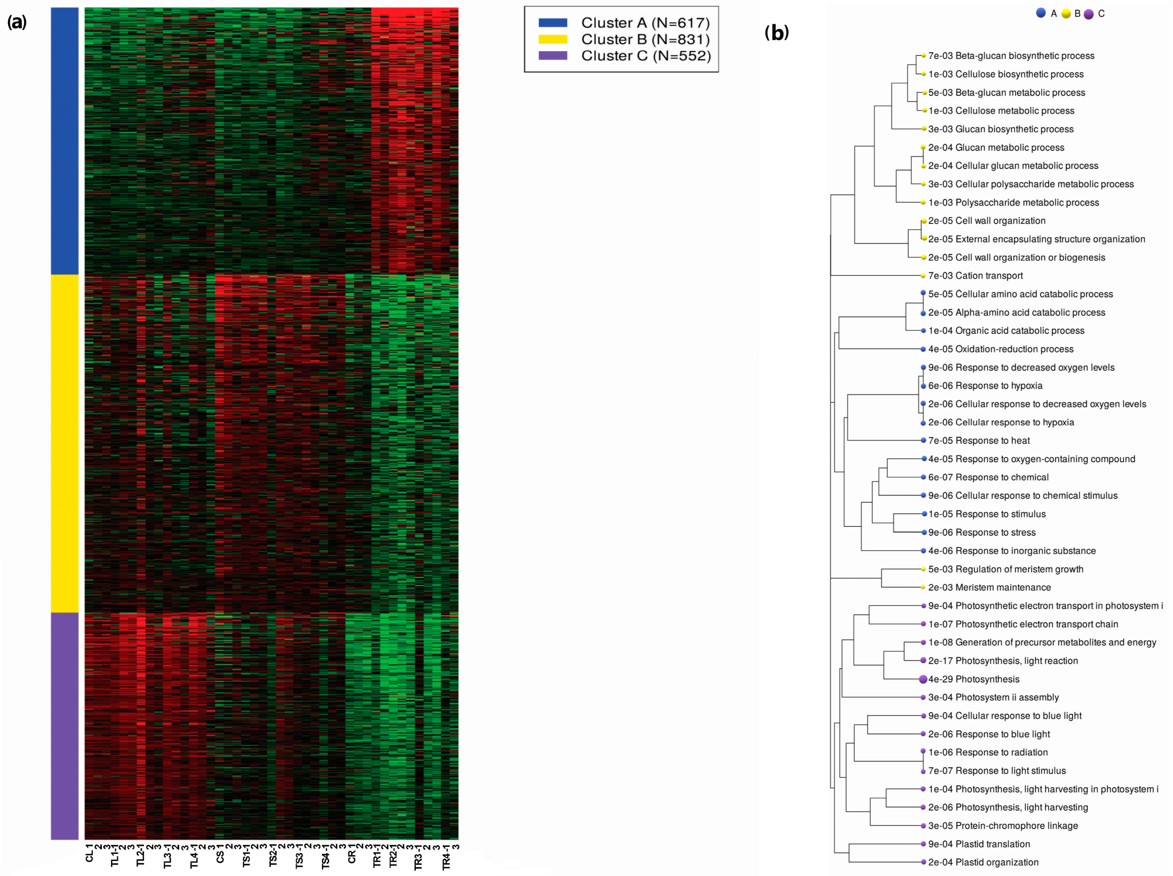 Plants 12 03875 g002