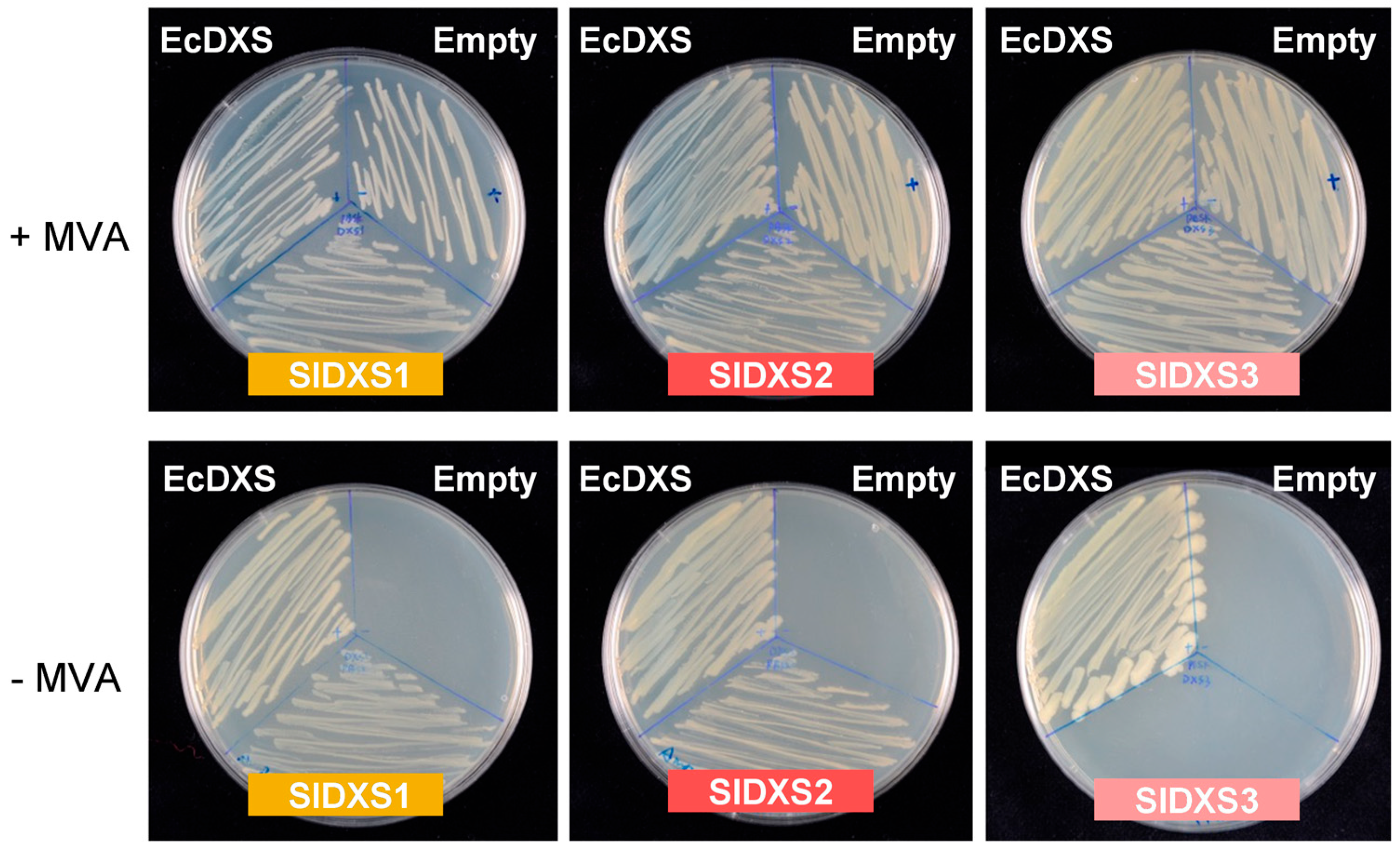 Plants 12 03886 g002