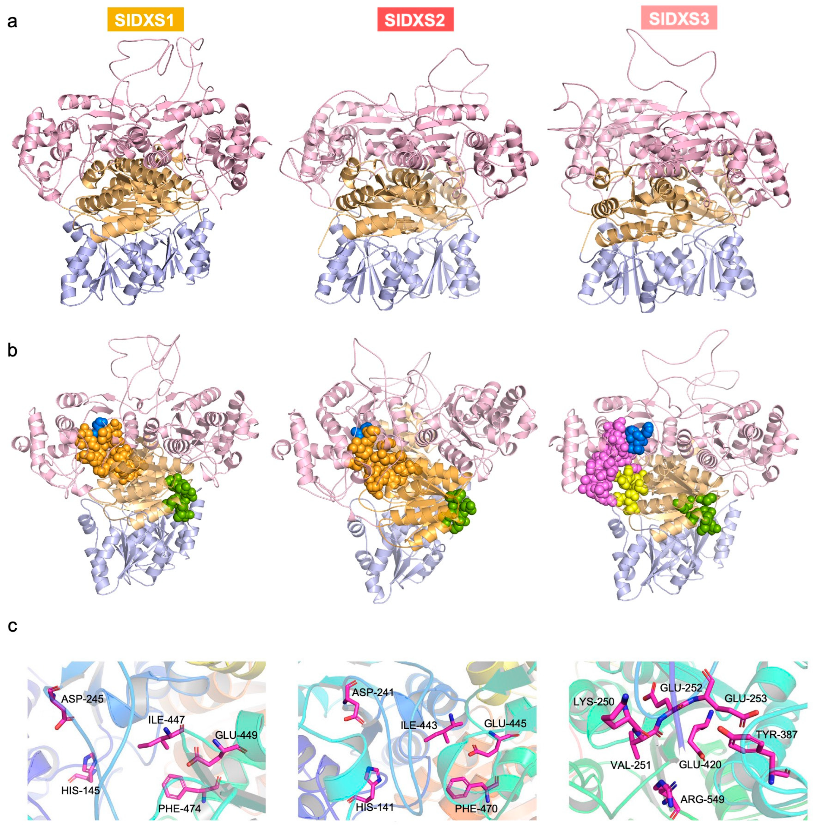 Plants 12 03886 g004