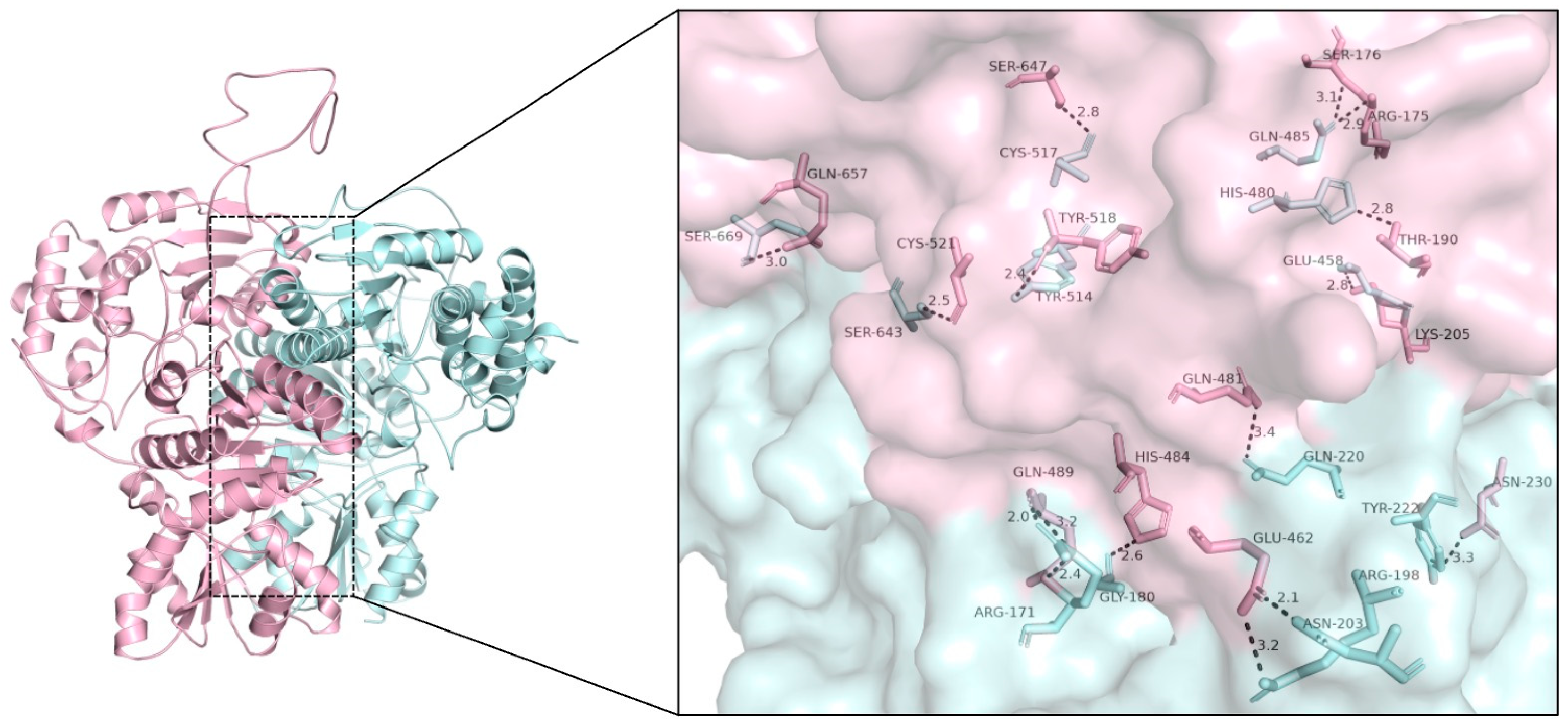 Plants 12 03886 g007