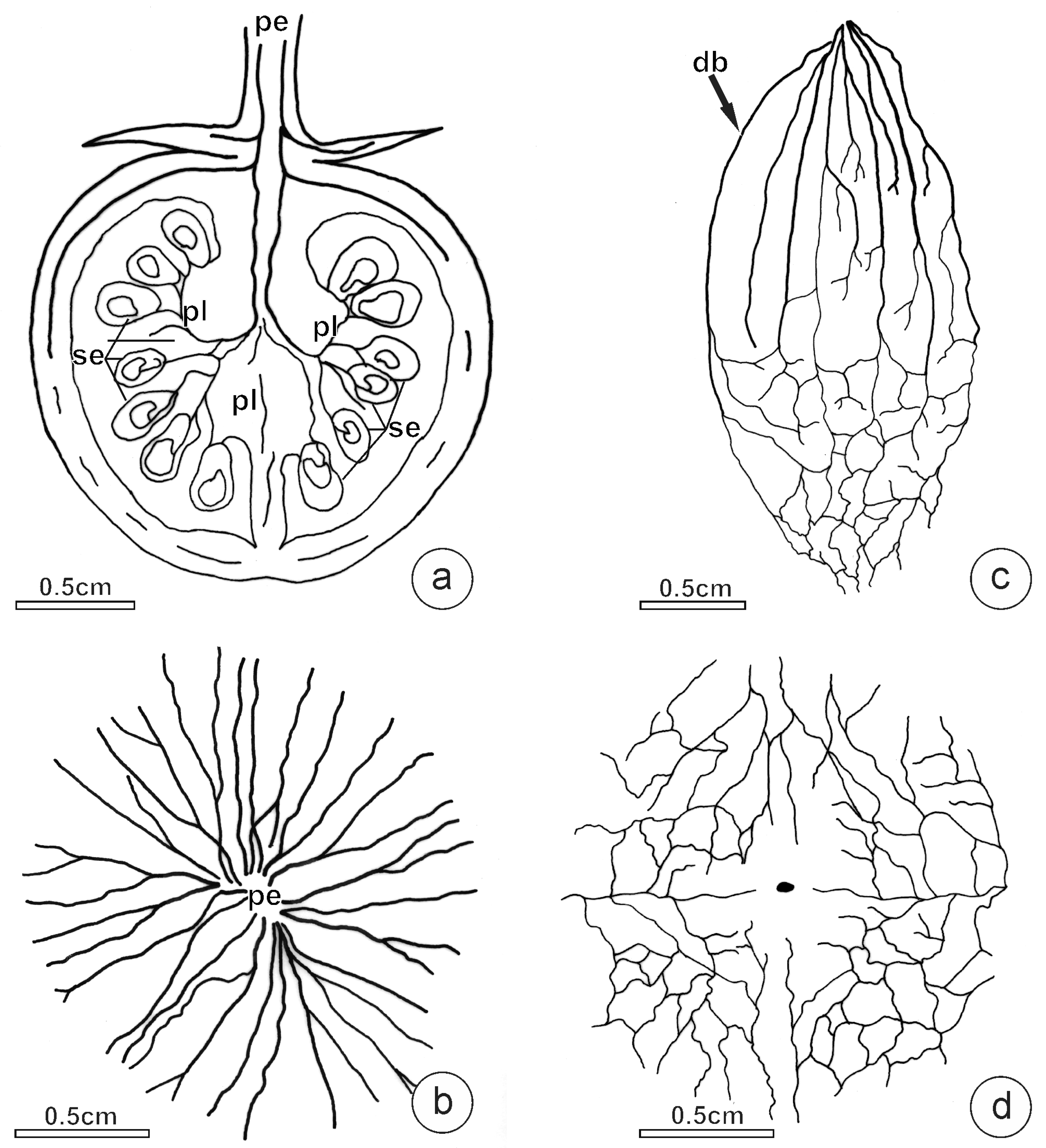 Plants 12 03893 g004