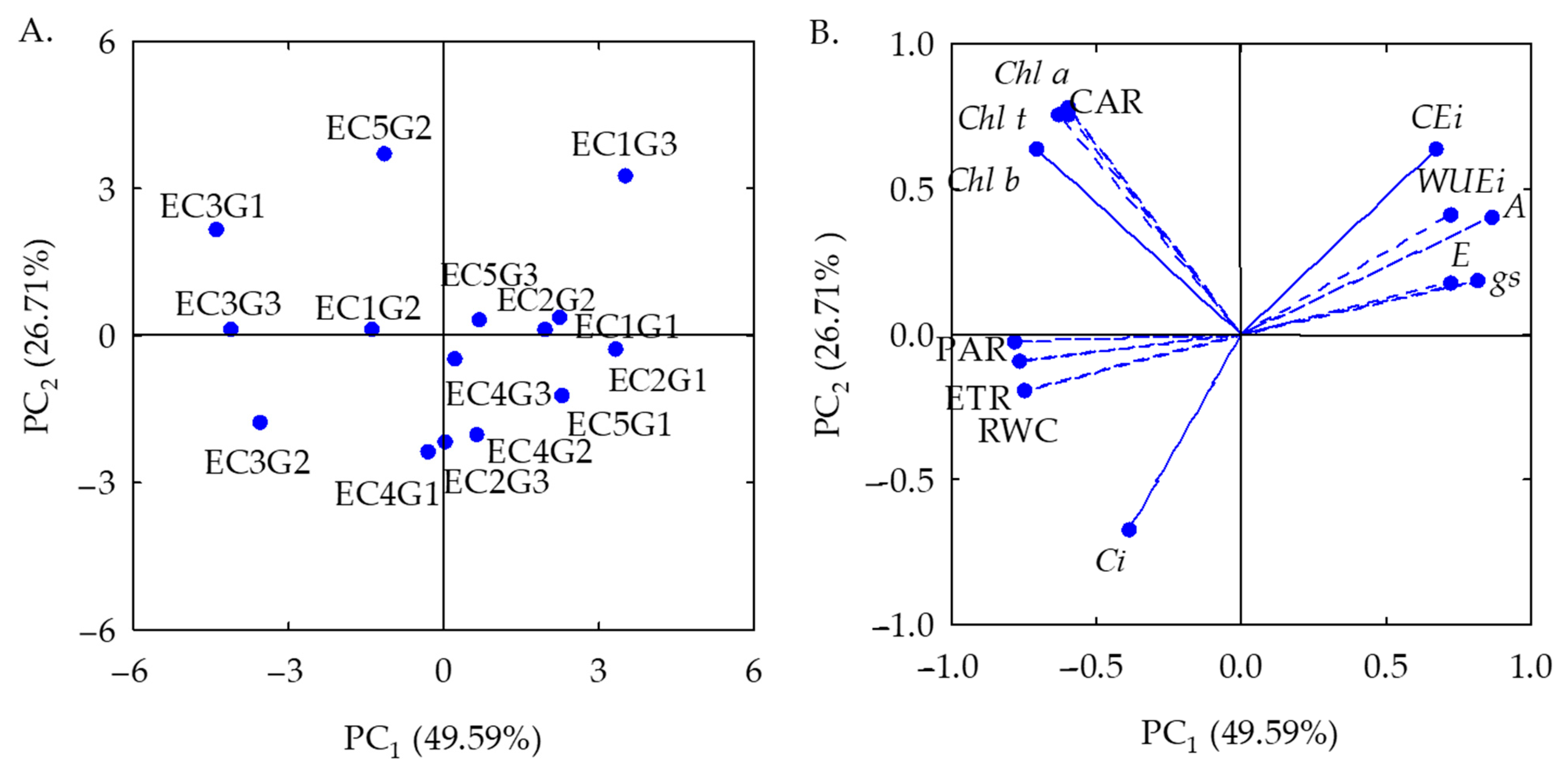 Plants 12 03894 g001