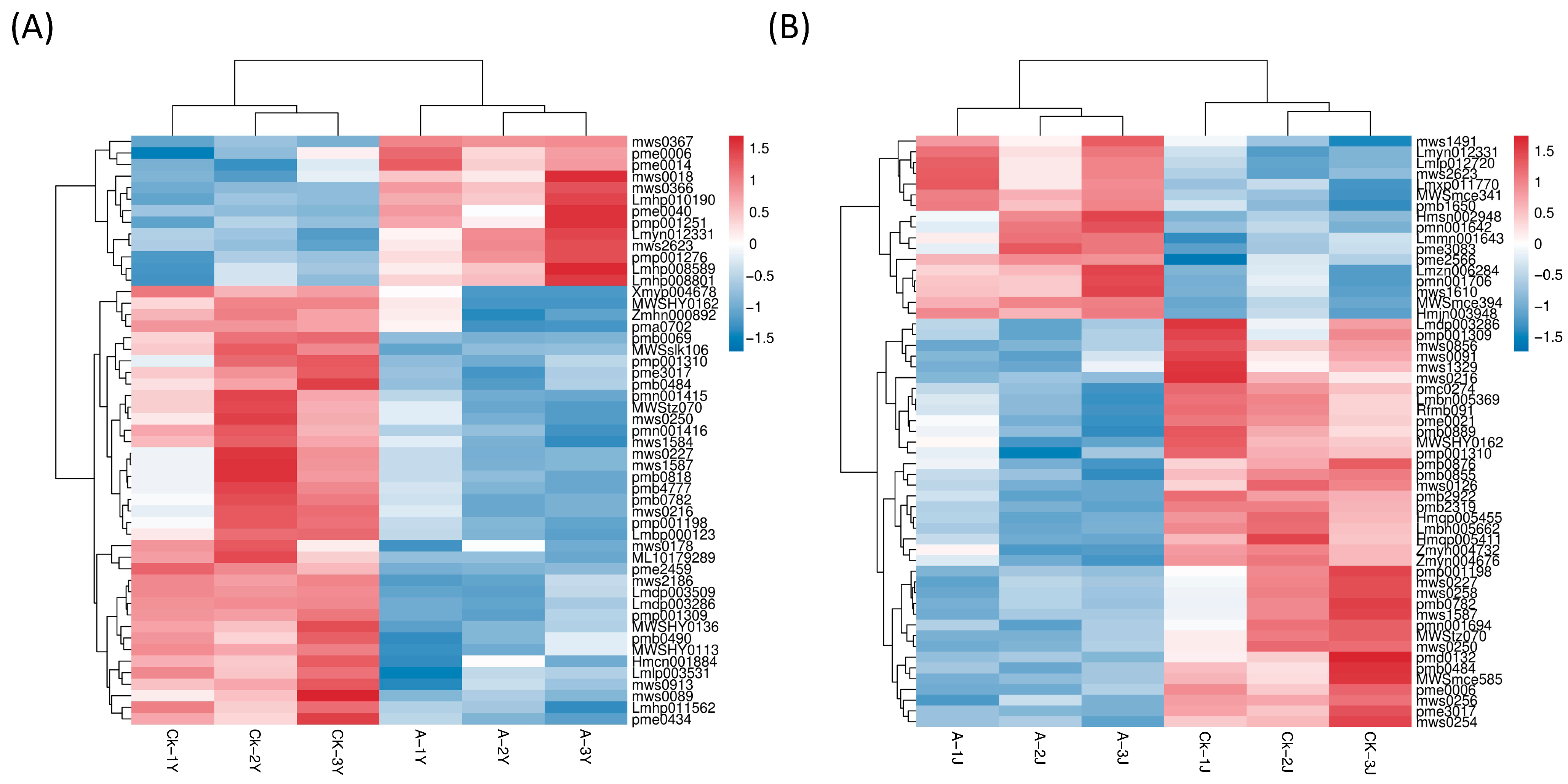 Plants 12 03899 g004