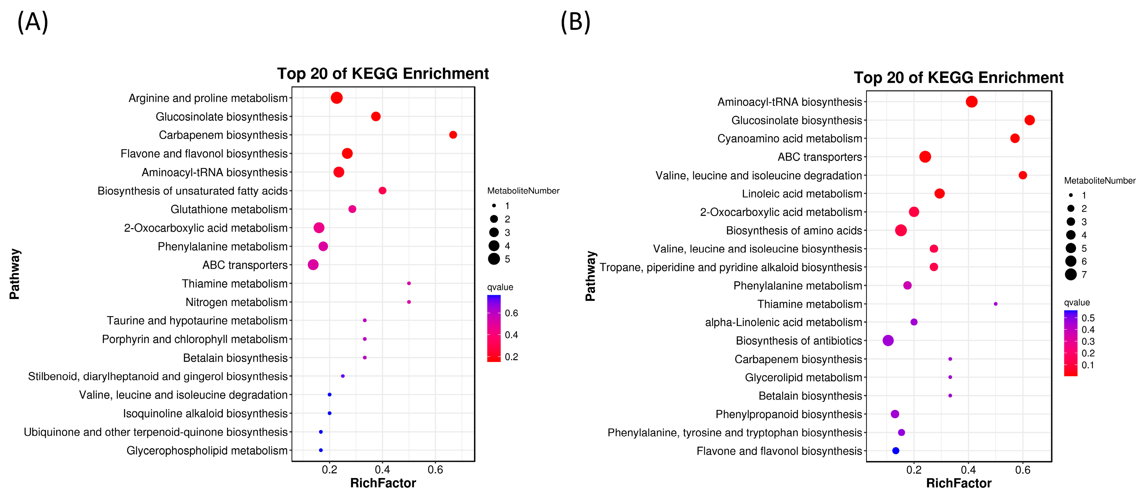 Plants 12 03899 g005