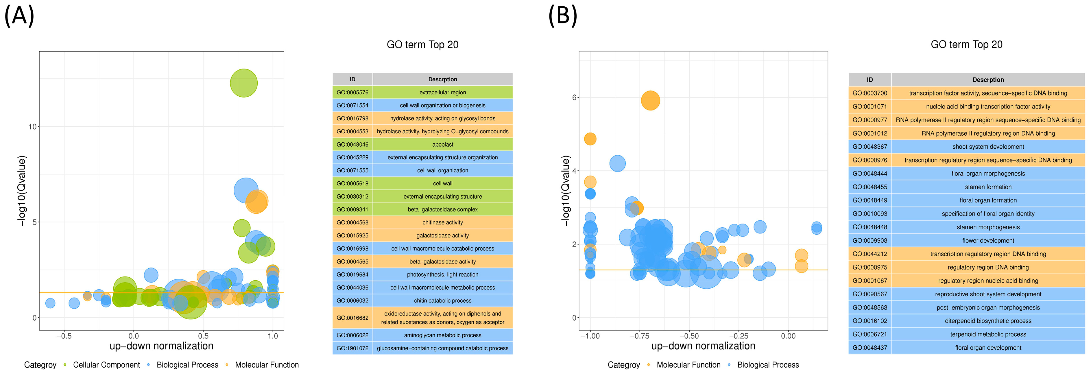Plants 12 03899 g006