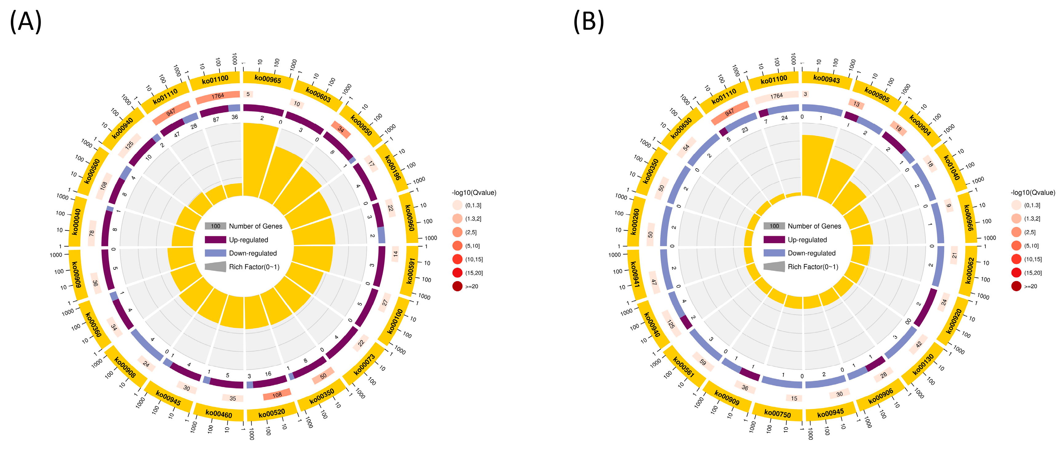 Plants 12 03899 g007