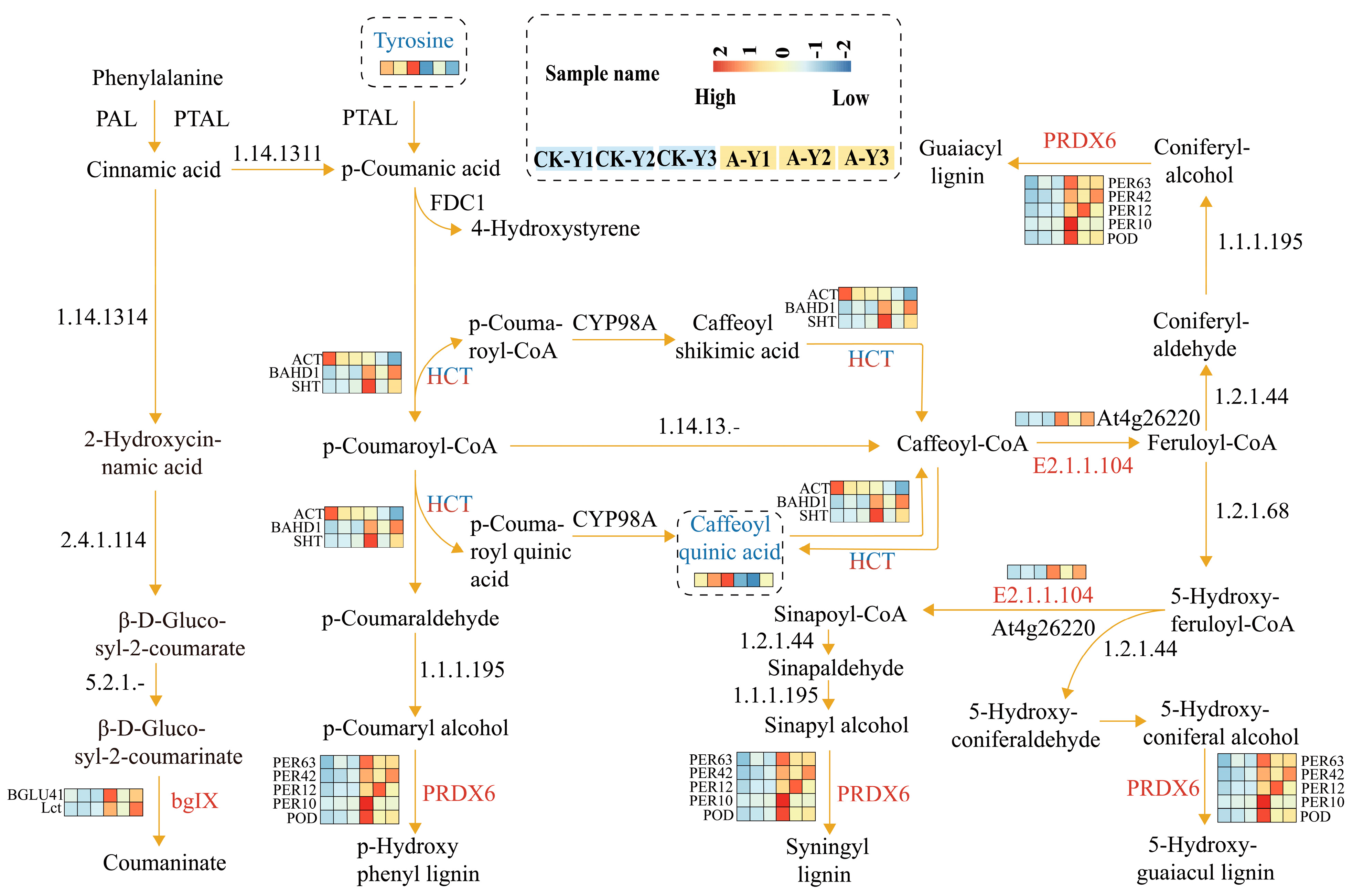 Plants 12 03899 g009