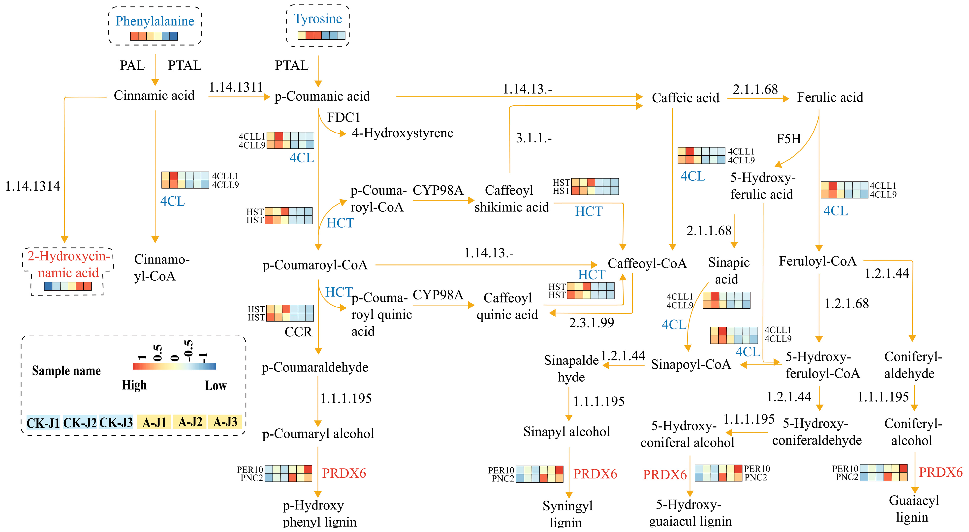 Plants 12 03899 g010