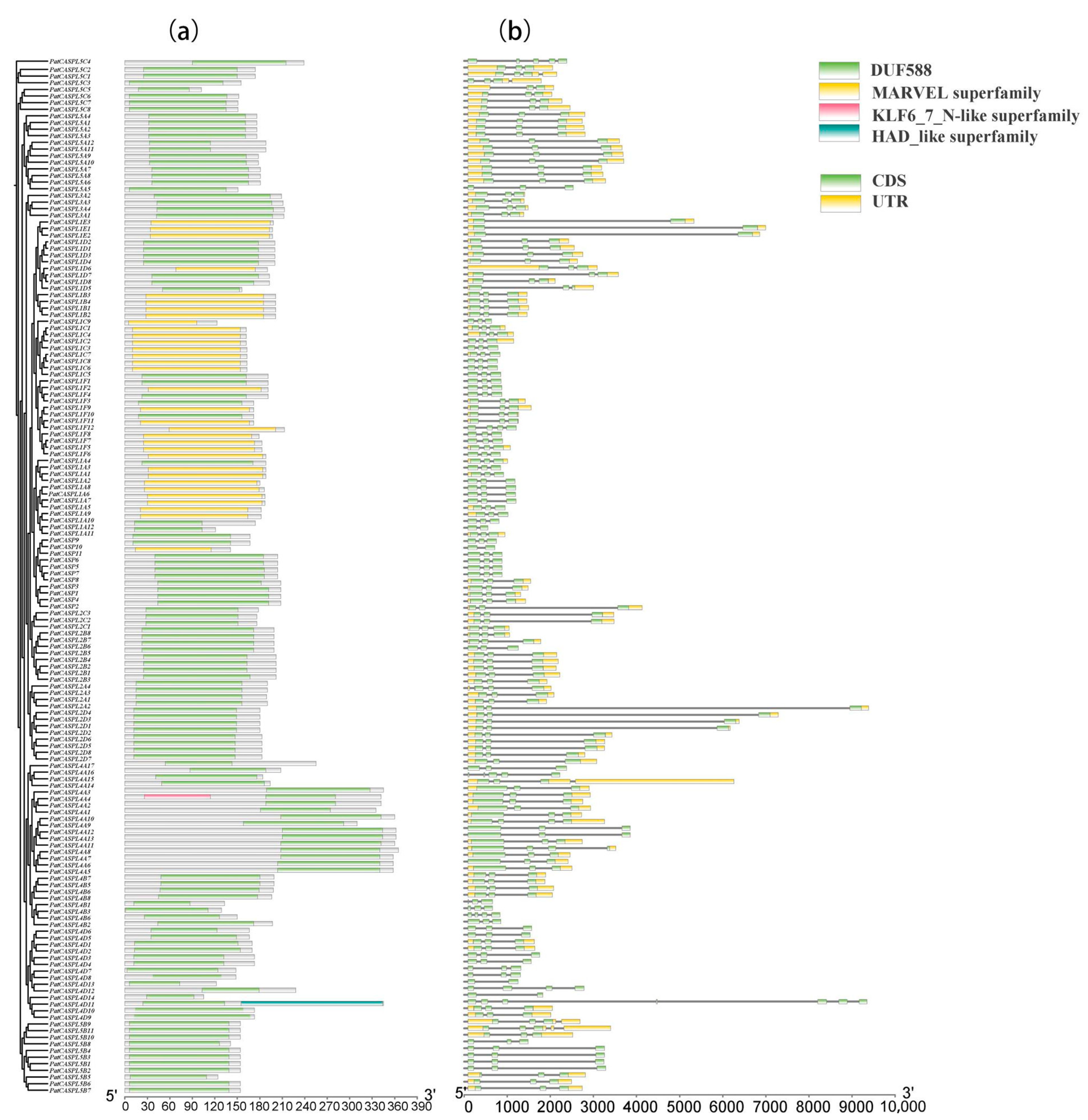 Plants 12 03901 g001