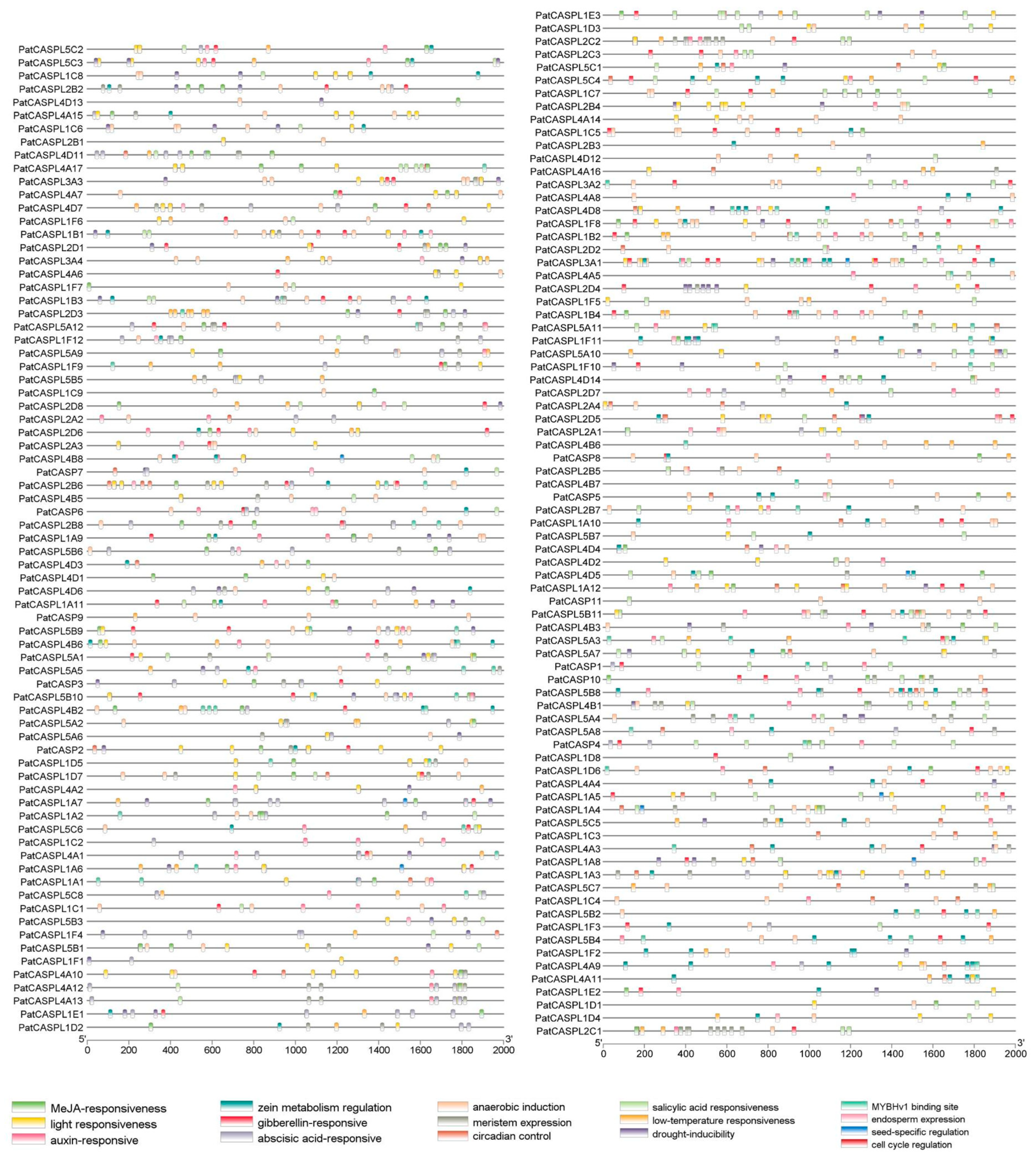 Plants 12 03901 g003