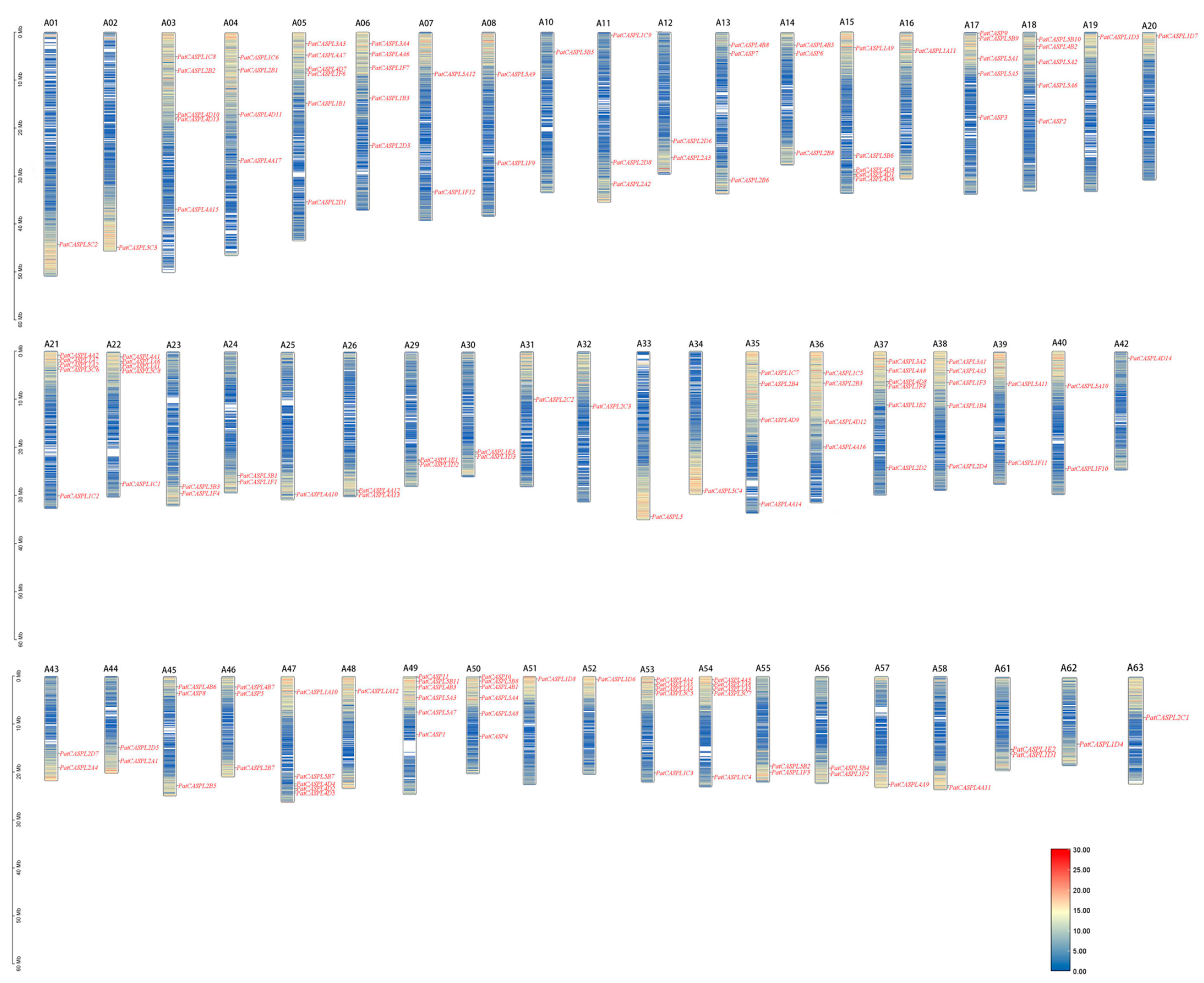 Plants 12 03901 g004