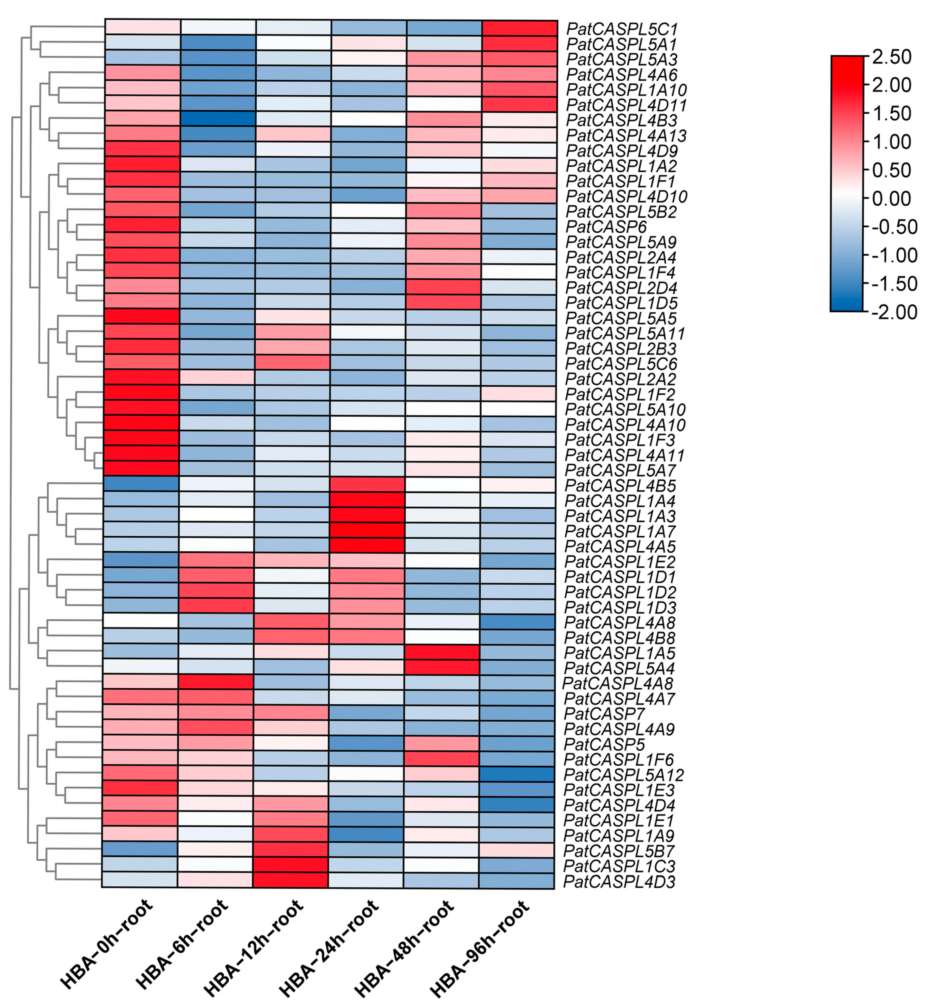 Plants 12 03901 g005