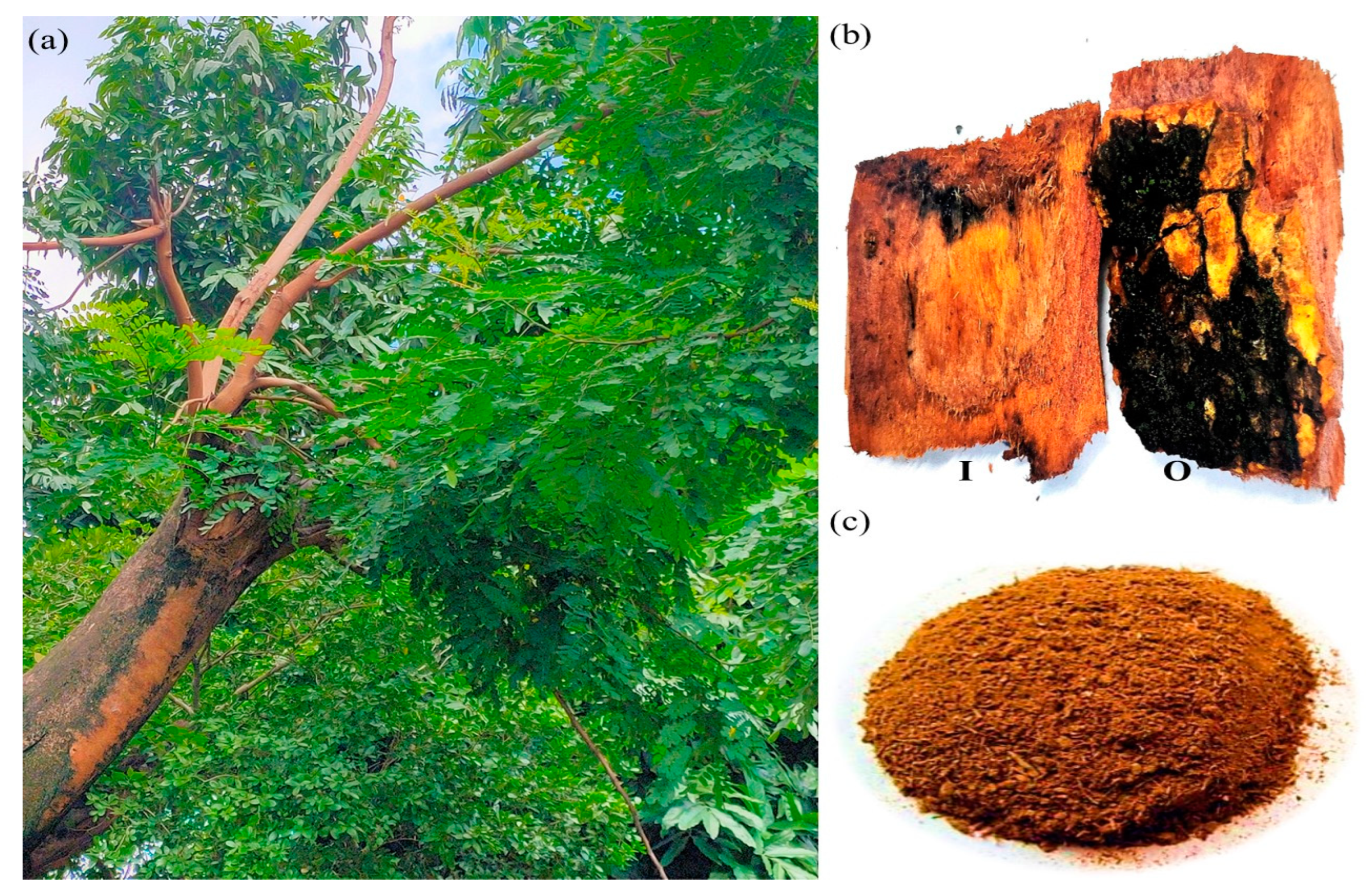 Plants 12 03902 g009